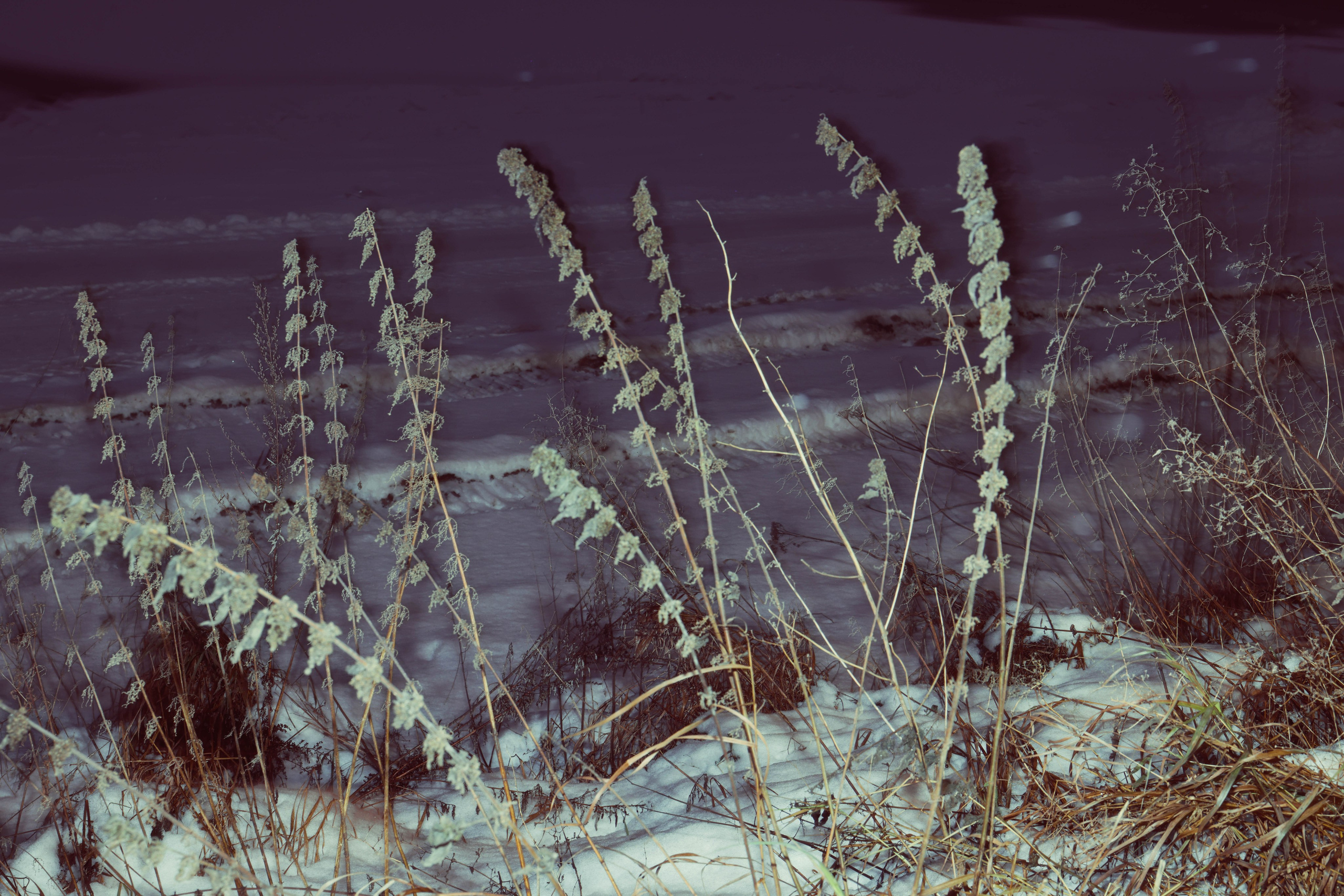 Берега памяти. Kateserbina