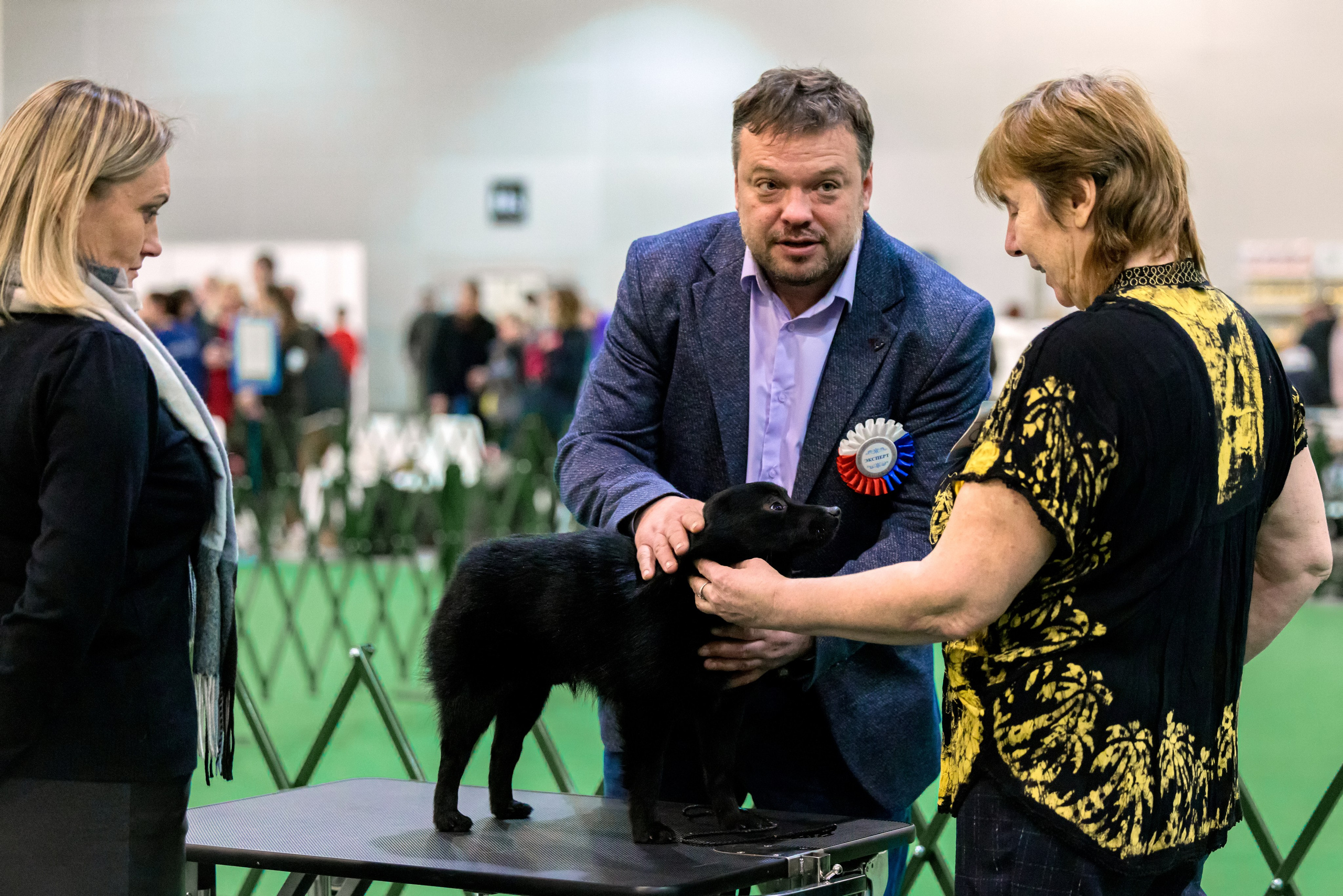 Крокус 3,9 и 10.12.2023. Фотограф-анималист Юлия Германика