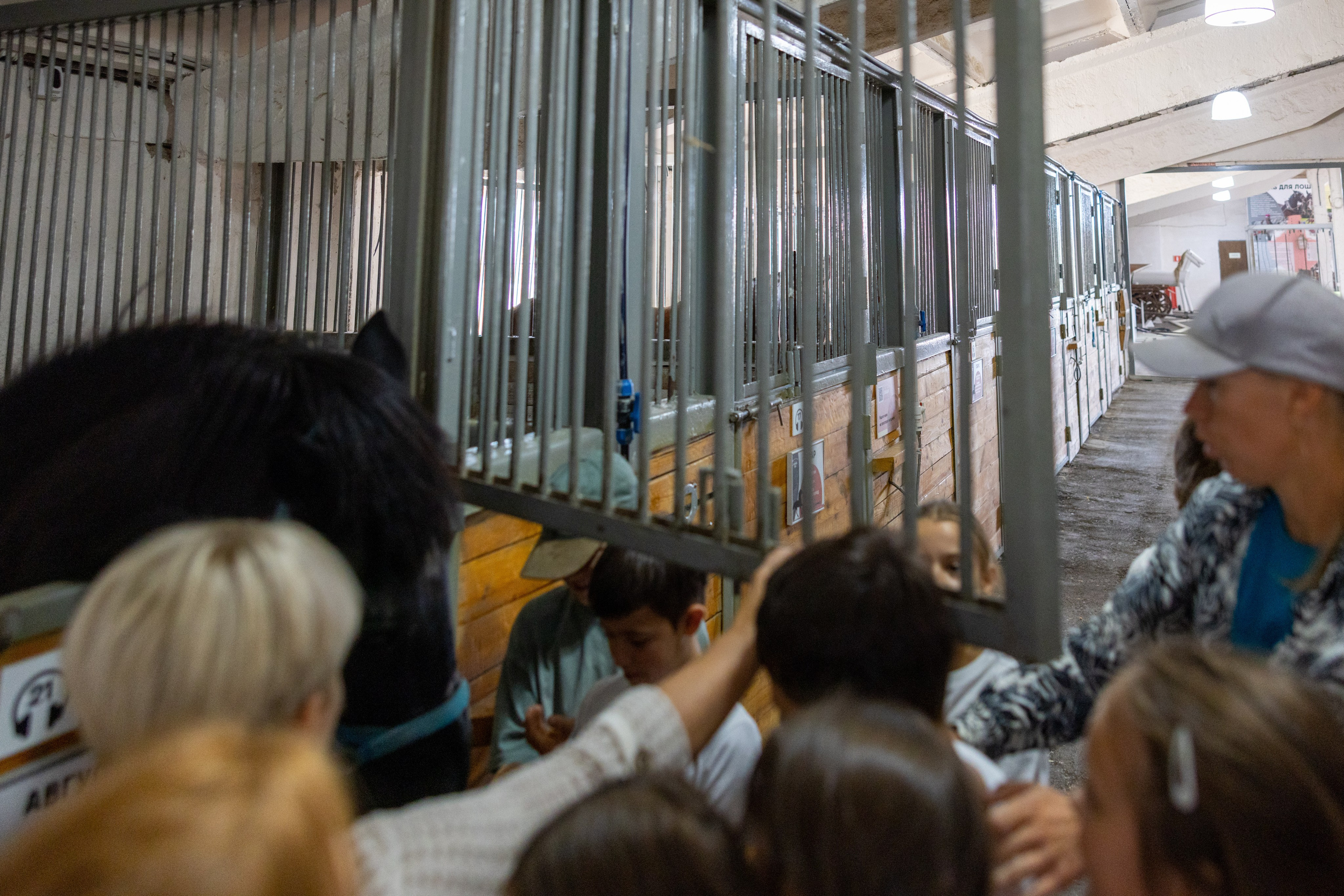 Поездка на поле Кулеково. Фотограф в Туле Крупский АнДРей. Фотостудия «КАДР71» в Туле