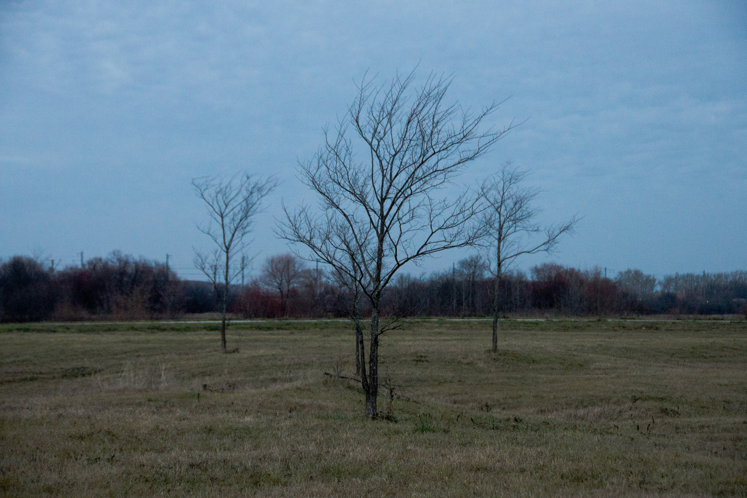 Singles 2. Alyona Kochetkova | Photographer and photography educator