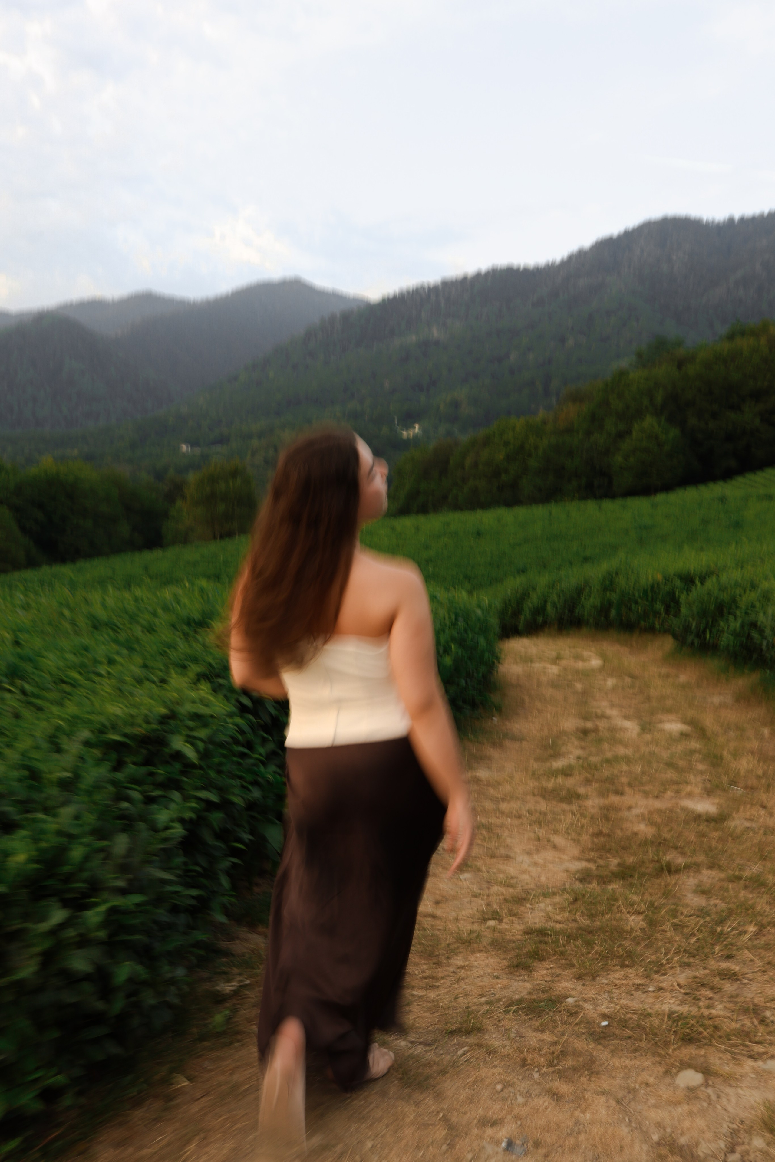 ЧАЙНЫЕ ПЛАНТАЦИИ. Фотограф Москва Оля Олбимак