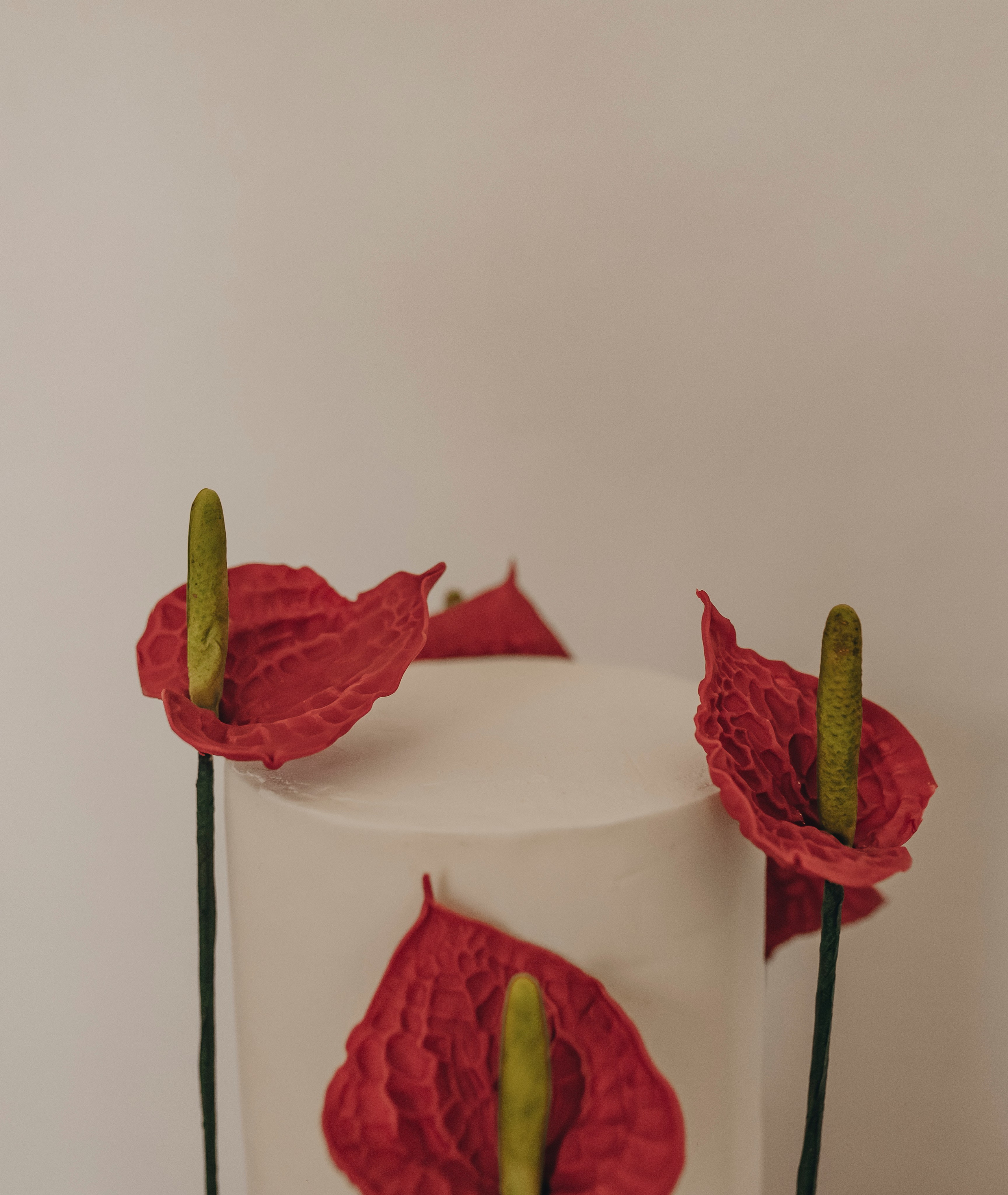 All you need is love. Фотограф Видеограф| Пермь, Сочи, Санкт-Петербург