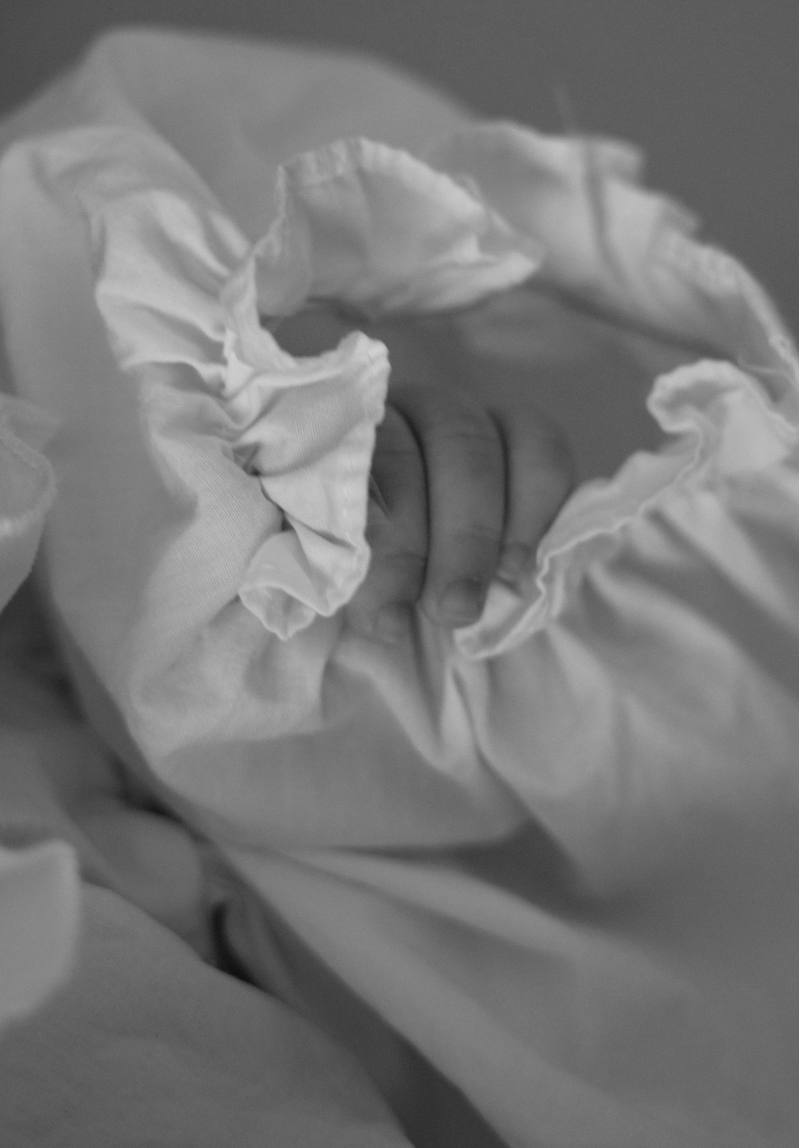 New born family photoshoot at home. Wedding and family photographer