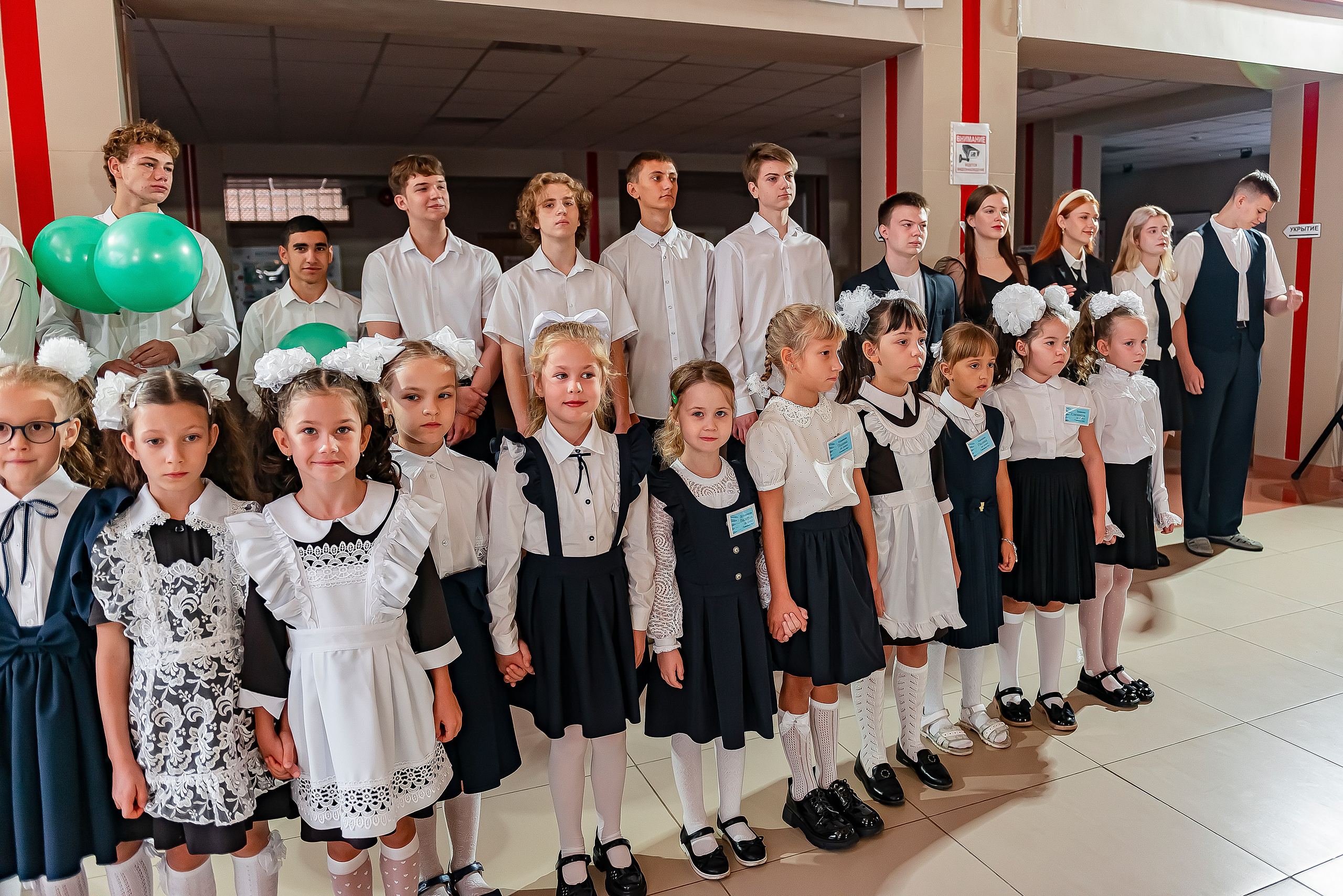 1 «В» | Гимназия № 3| г. Белгород |2024. ALBUMIA