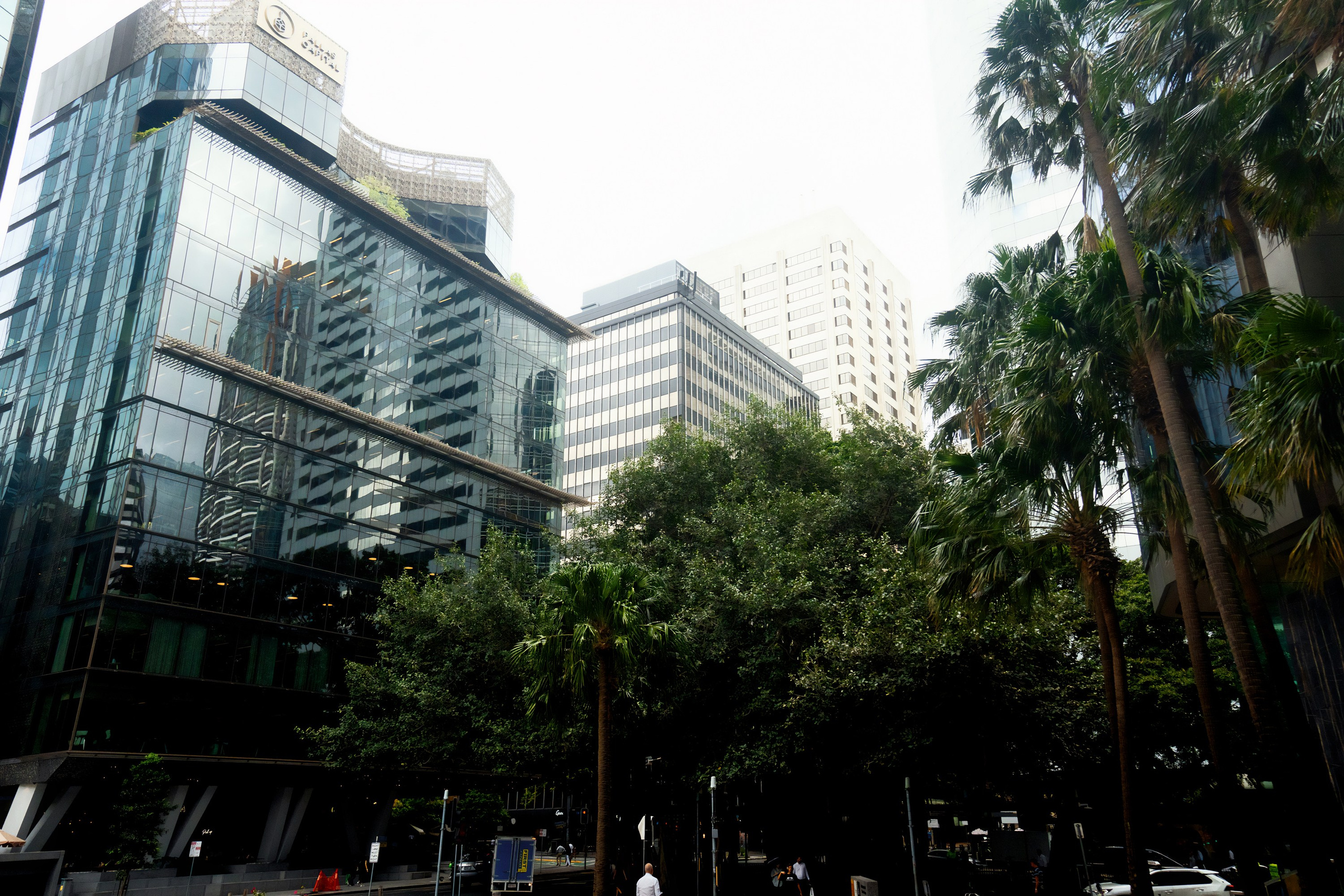 Австралия. Фотограф в Хабаровске. Фотография за 24 часа