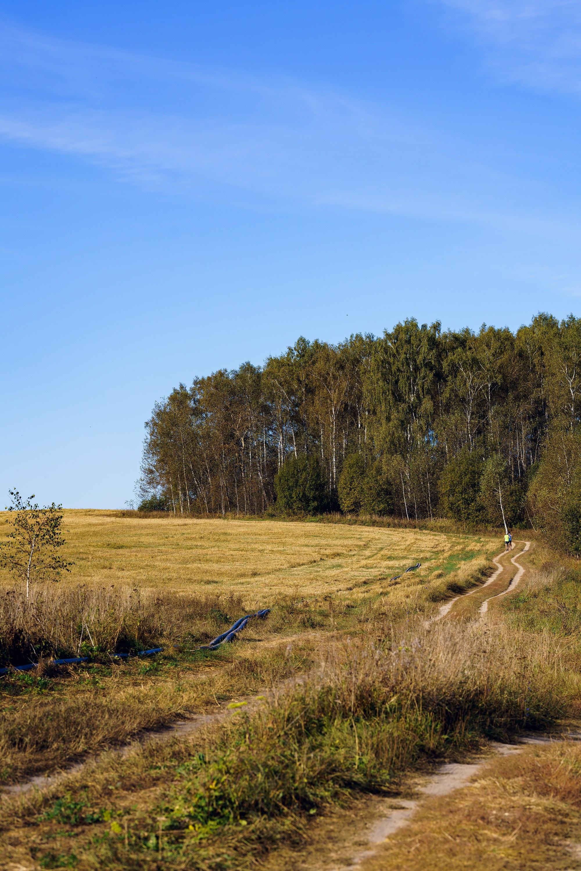Фотографии Трейл Калужская взлётка 2024. Фотограф спортивные события, недвижимость, турбизнес