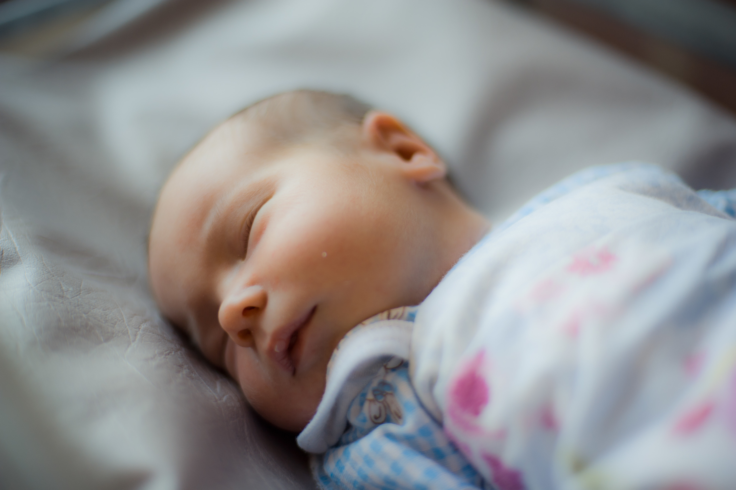 Выписка. Семейный и свадебный фотограф в Кемерово Кривцов Алексей