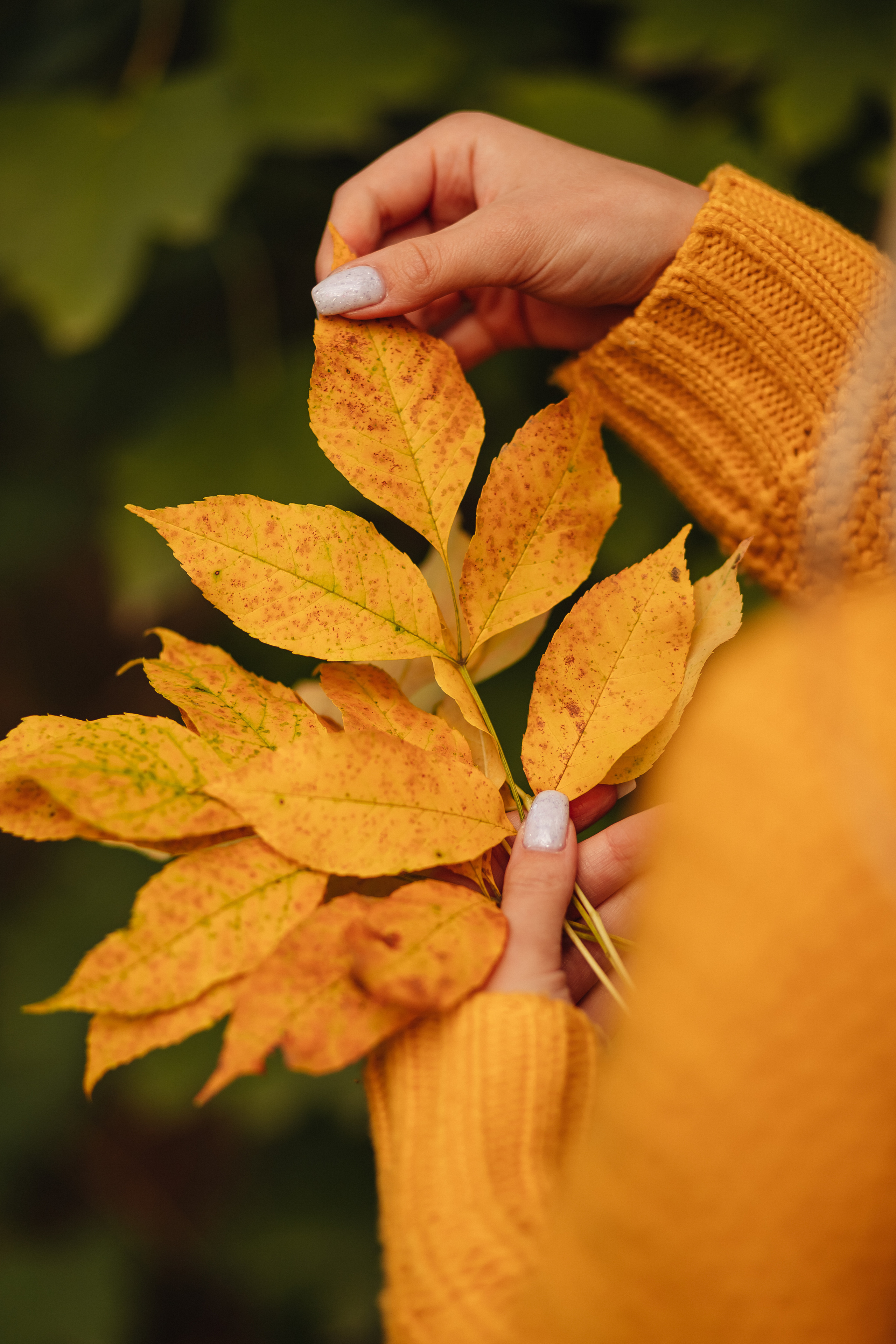 Валерия. Фотограф Катя Весна