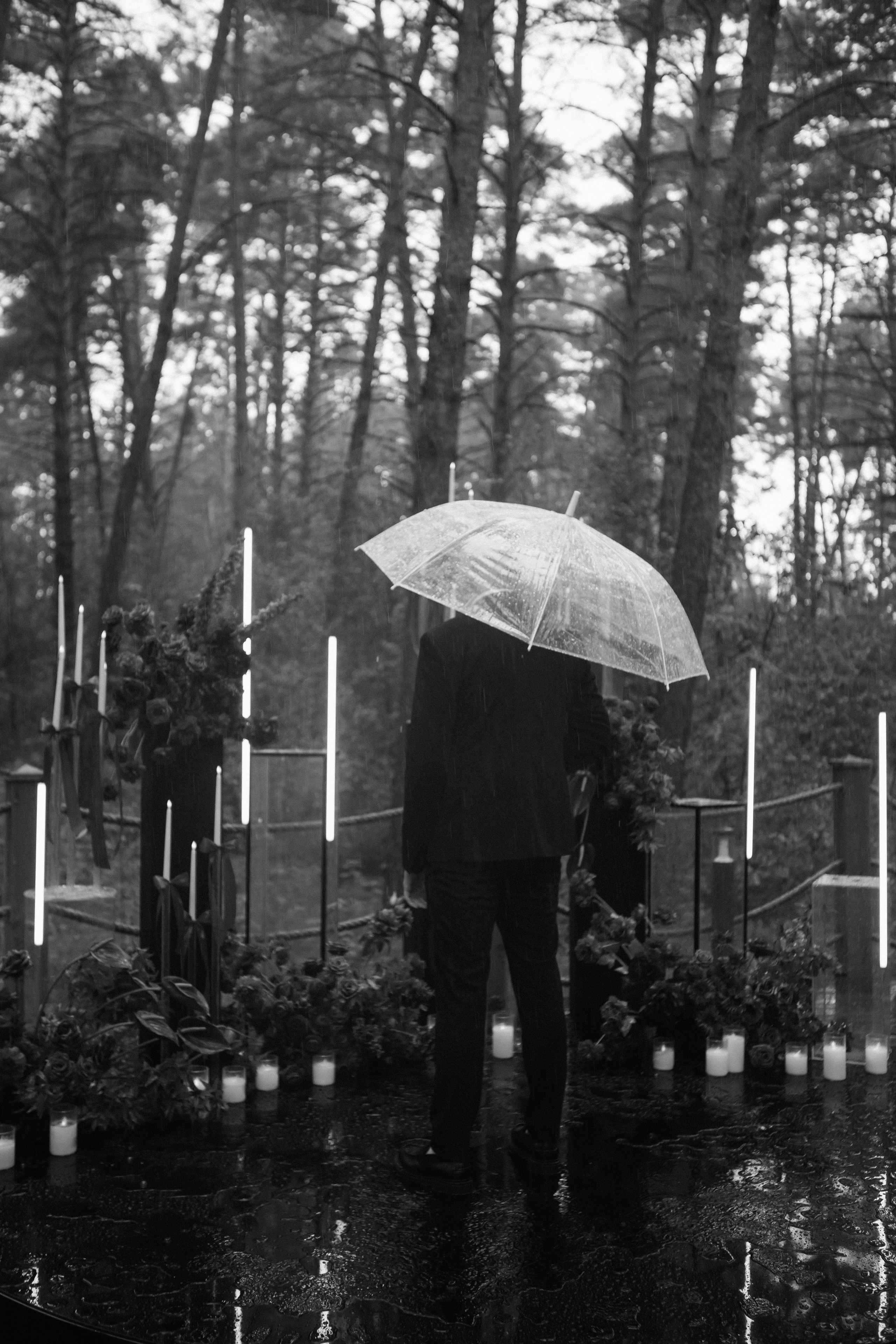 Свадебная выездная церемония. Главная