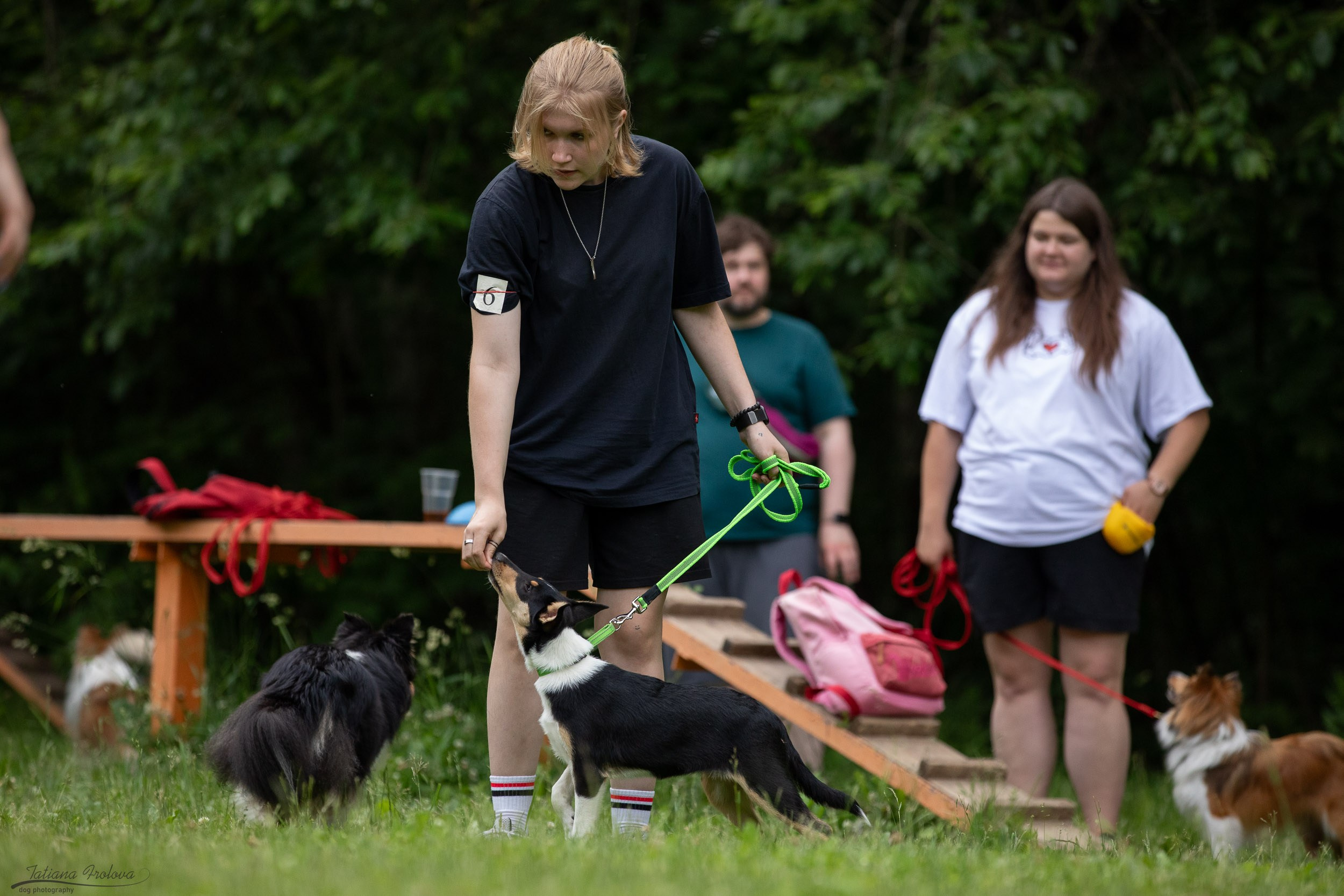 Репортаж с выводки молодняка колли/шелти в Ясенево. Фотограф-анималист в Москве и Московской области Татьяна Фролова