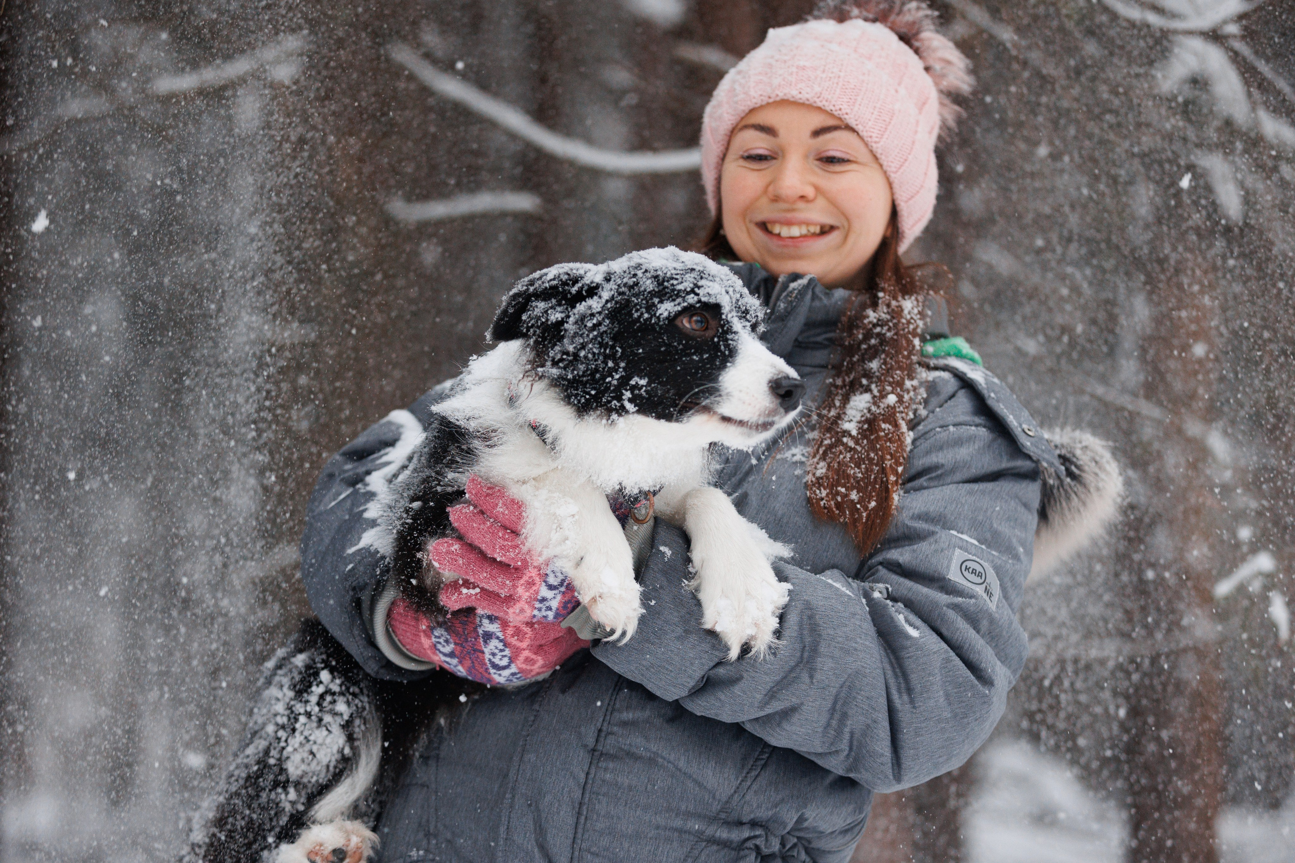 Даша и компания. Фотограф анималист Кристина Карпова, Москва