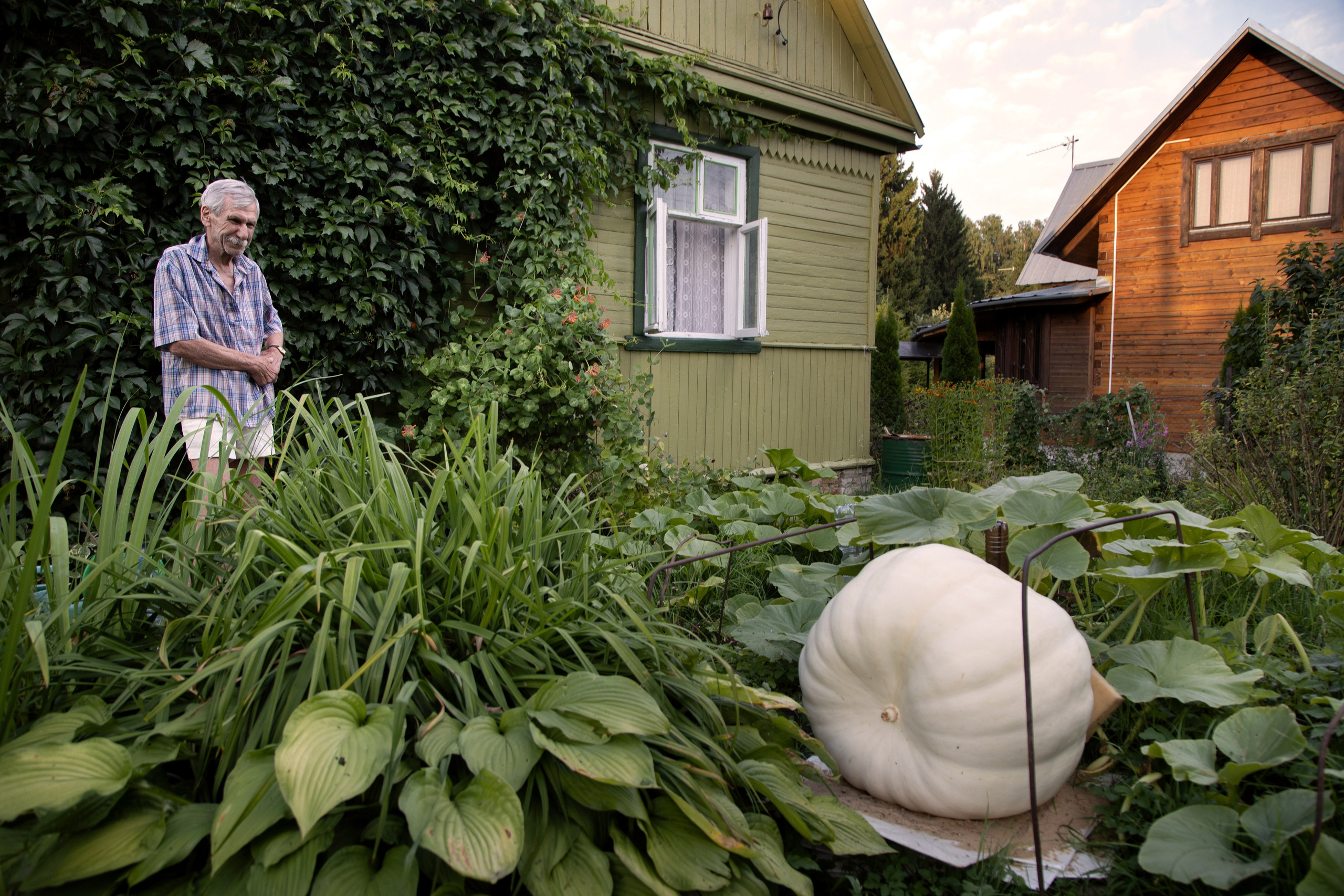 Жанр. Фотограф Лагутин Анатолий