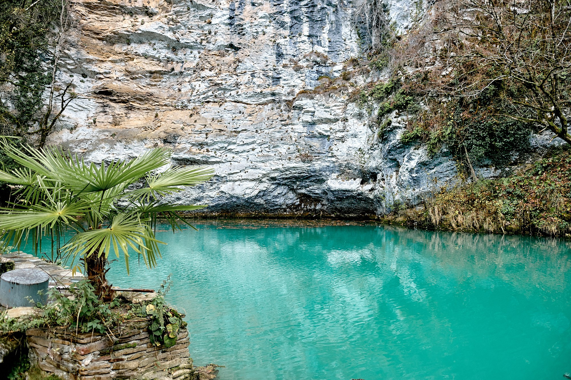 Озеро Рица, Абхазия. Декабрь 2024. Фотографии отовсюду и обо всем