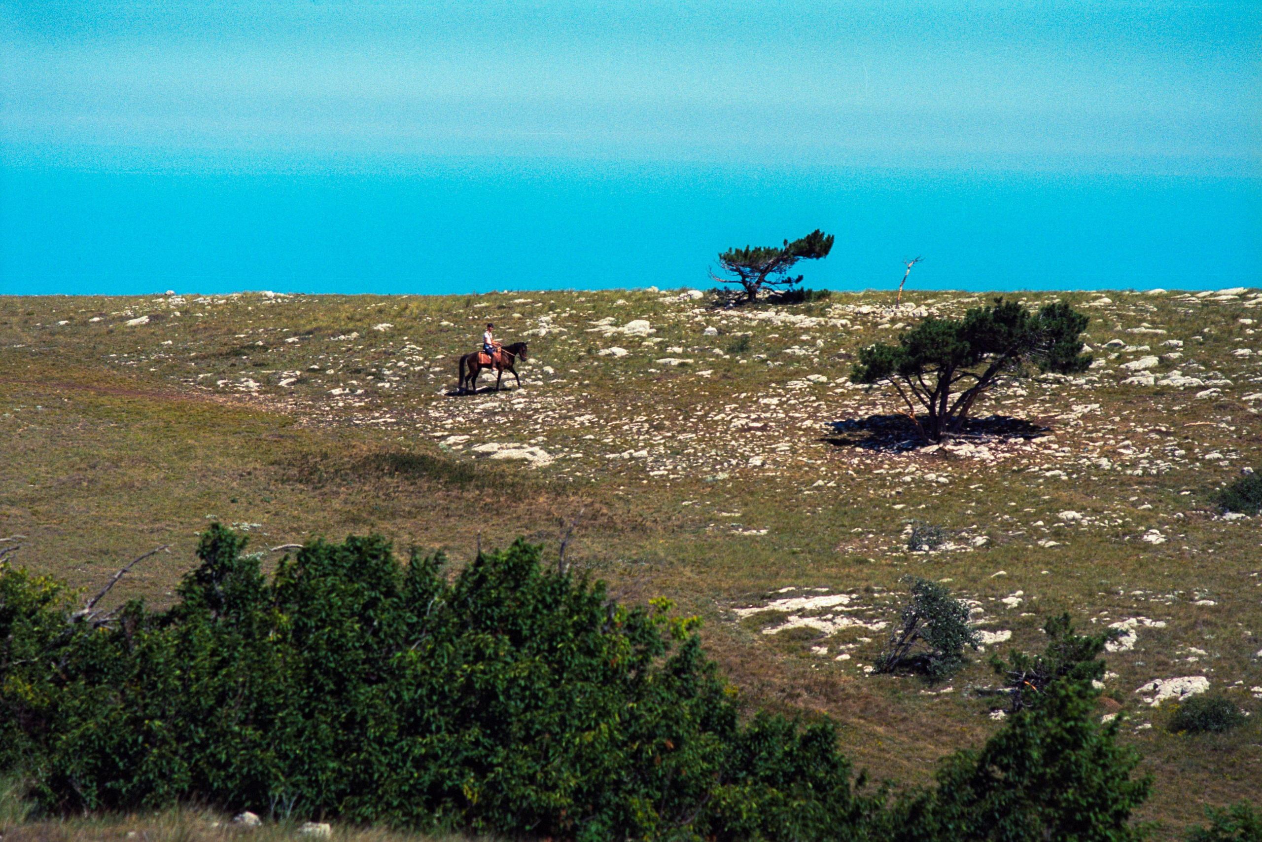 Природа. Василий Буйлов|Vasilii Builov