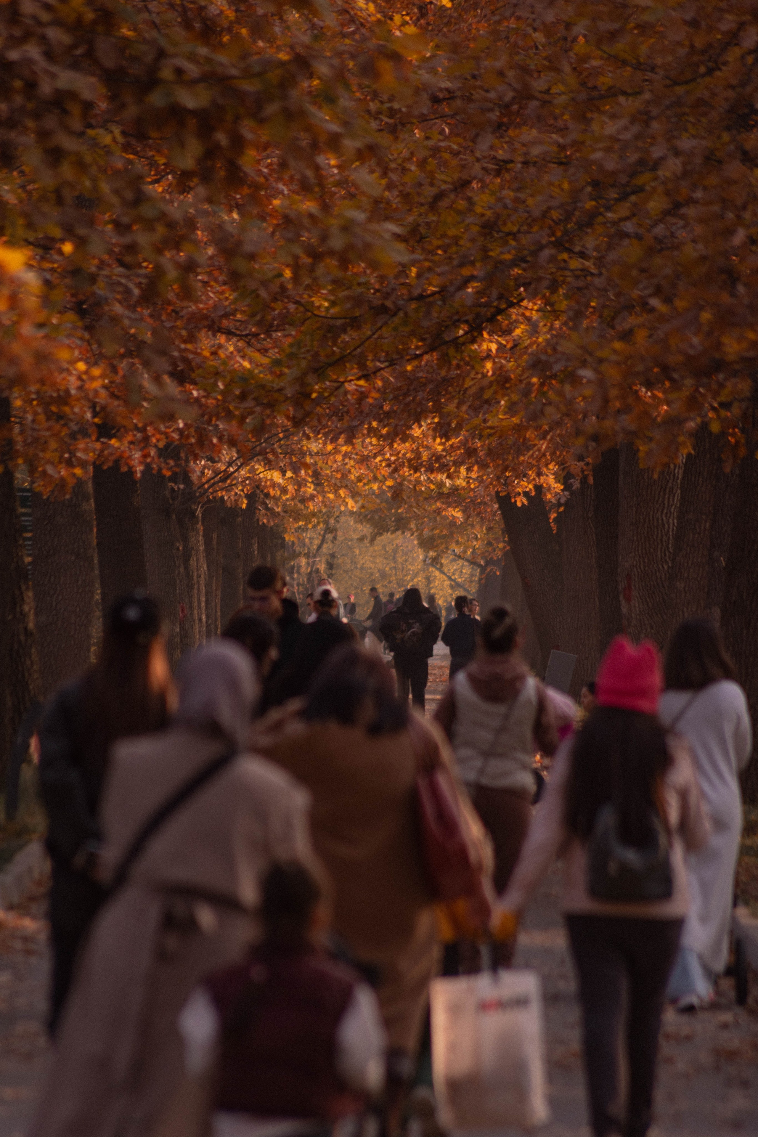 Визуальный дневник. Репортажный фотограф в Алматы Цой Сергей