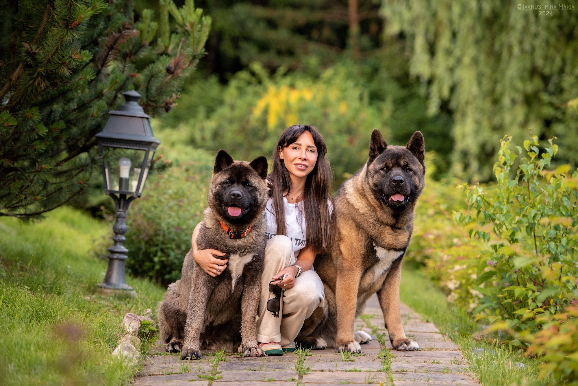 Фотосессия с собакой. Фотограф собак в Москве и Московской области Иванушкина Мария