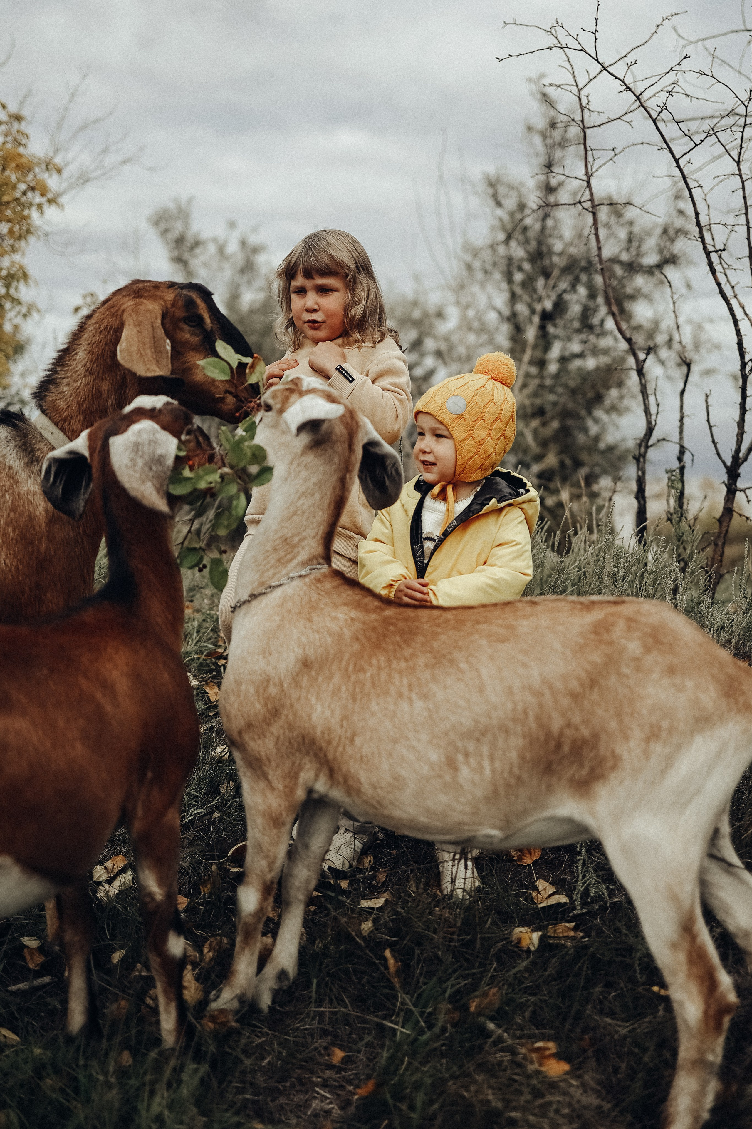 Семейная прогулочная съёмка. Фотограф в Астане Элина Багинская