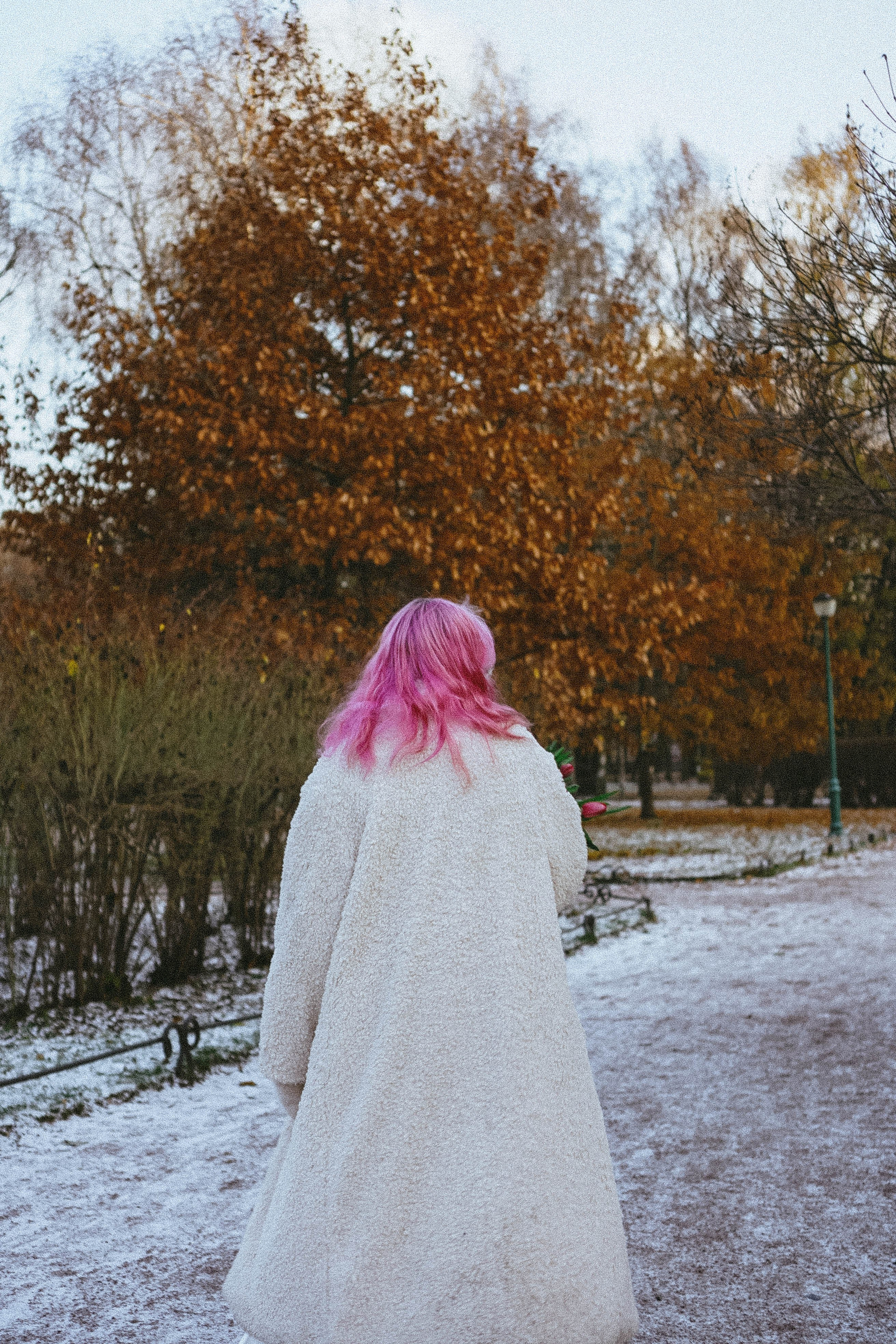 Тюльпаны. Профессиональный фотограф, Санкт-Петербург — Виктория Богомолова