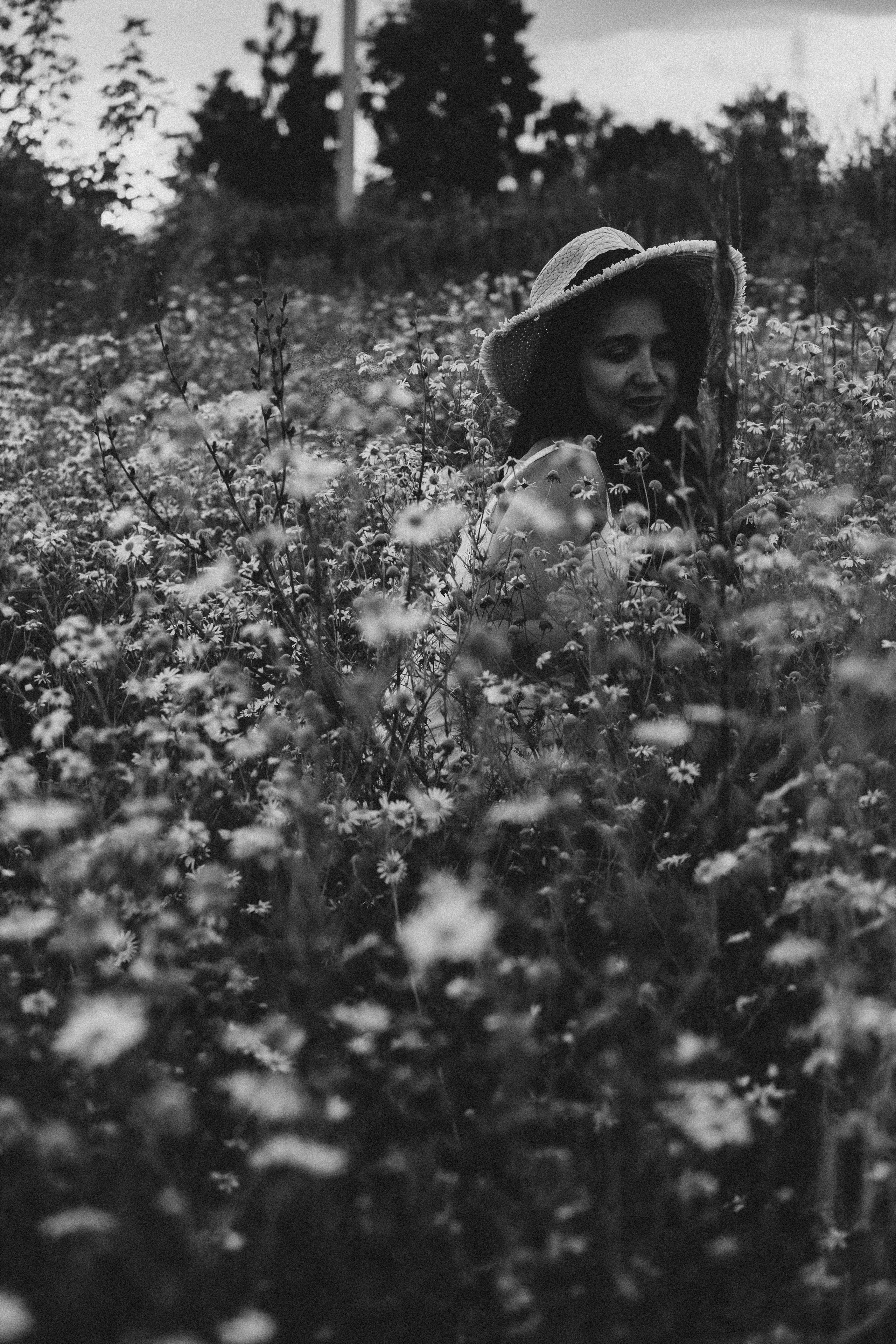 Ромашковое поле. Профессиональный фотограф, Санкт-Петербург — Виктория Богомолова