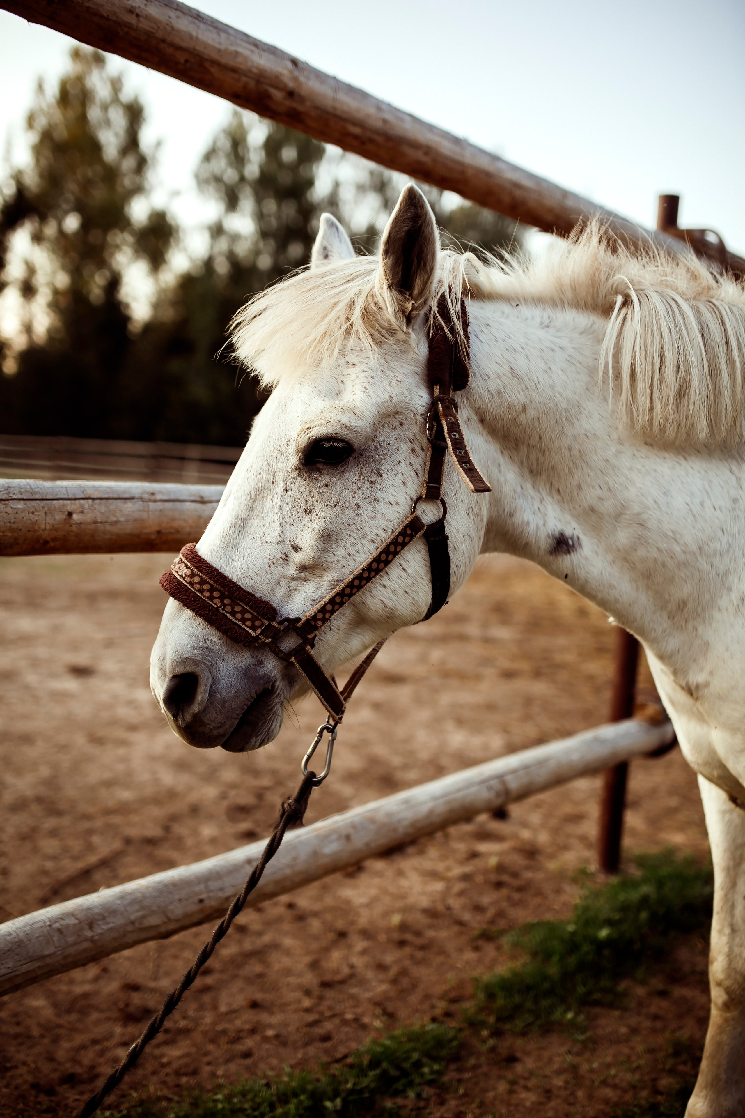 Граф. Семейный и детский фотограф в Ижевске Анастасия Камариттинова