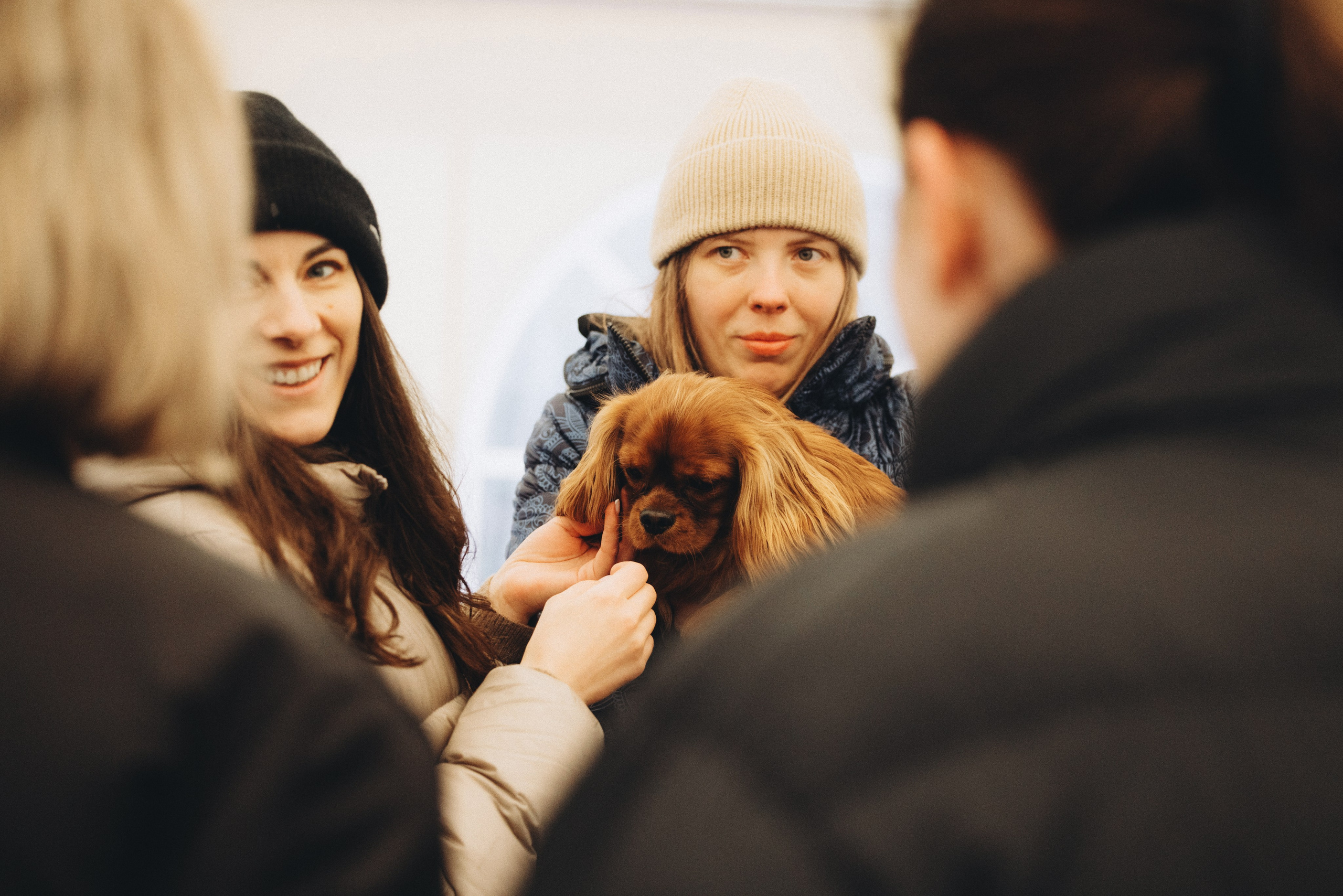 Встреча ККЧС. Фотограф анималист Осипчикова Мария