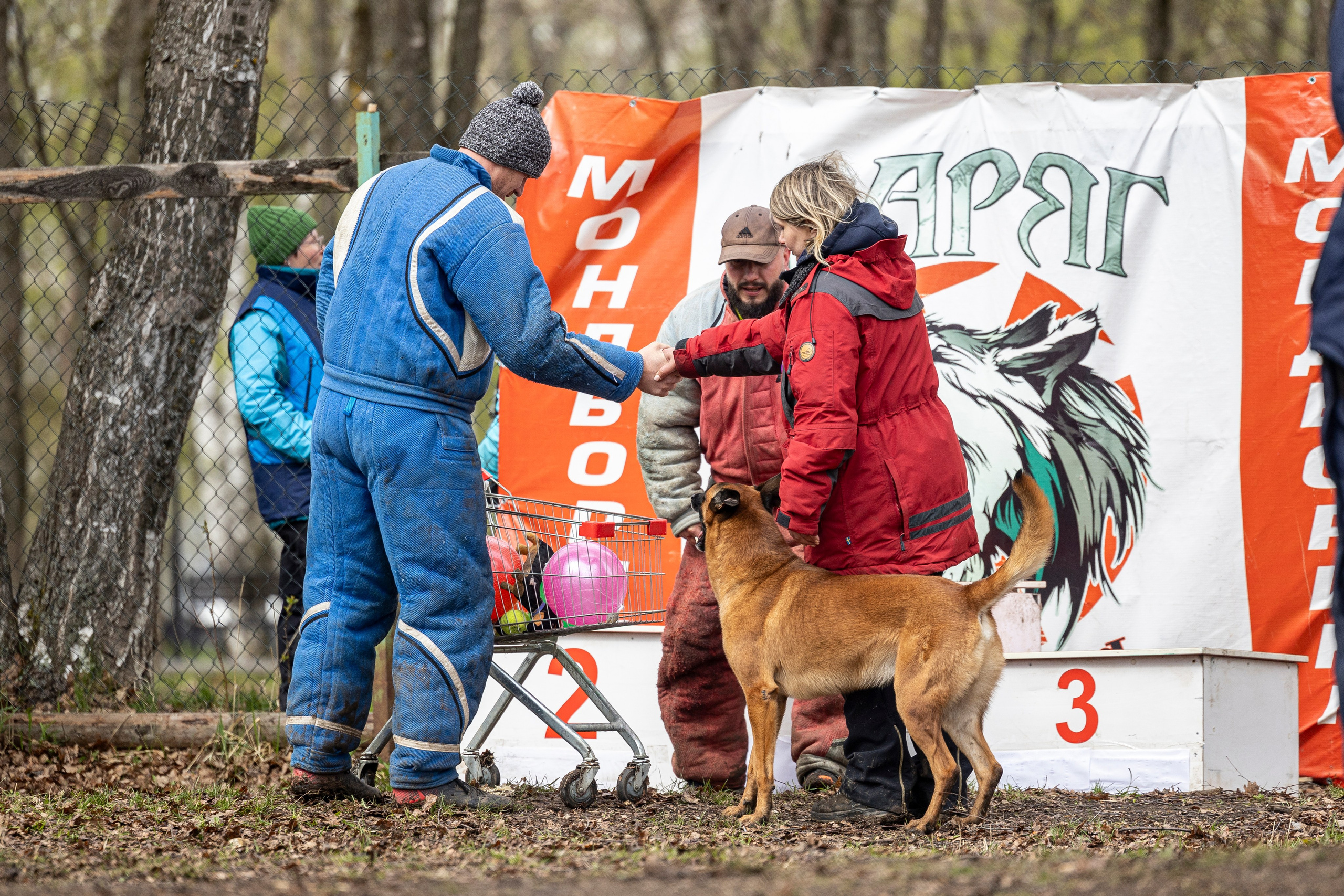Квалификационные состязания по мондьорингу г. Вологда 11.05.24. Фотограф-анималист Анна Маринич