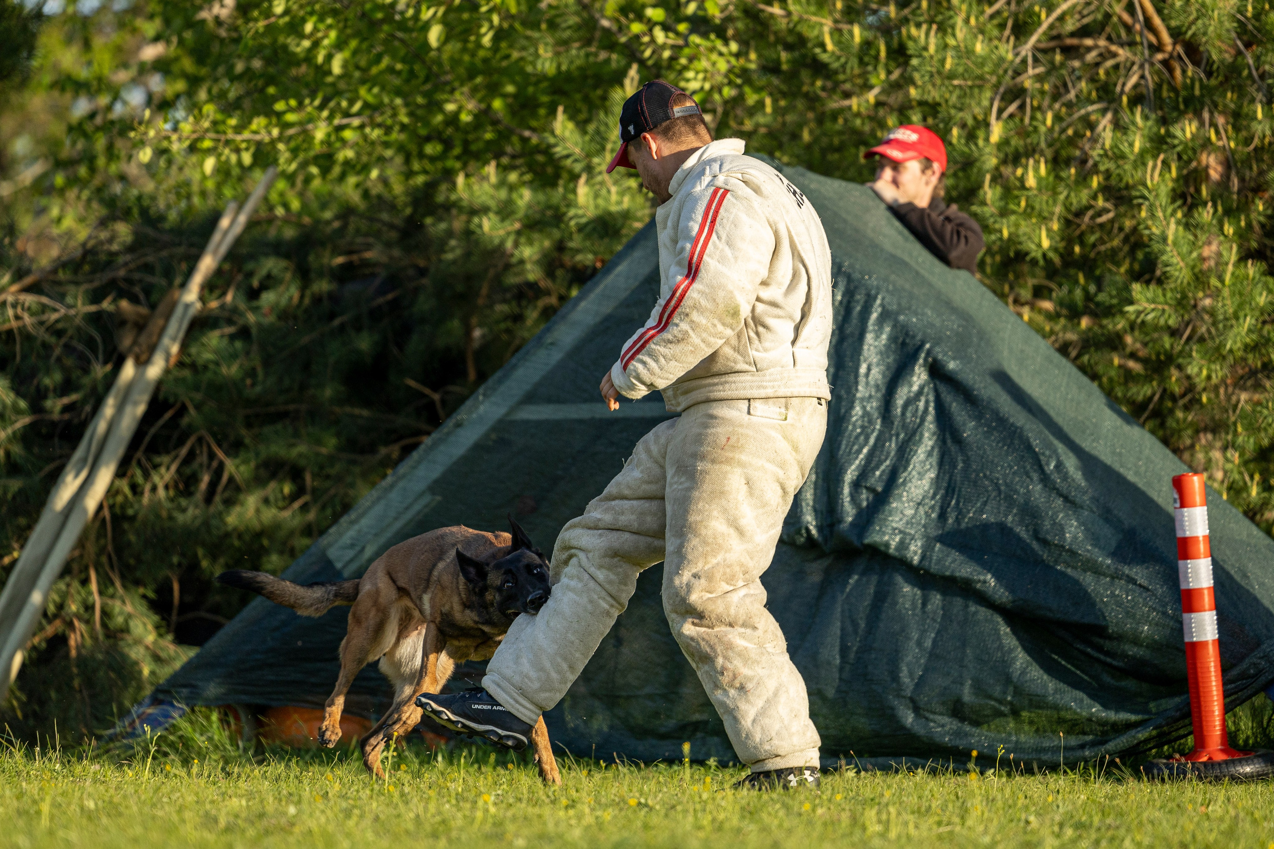 Испытания по мондьорингу в Нижнем Новгороде. Фотограф-анималист Анна Маринич