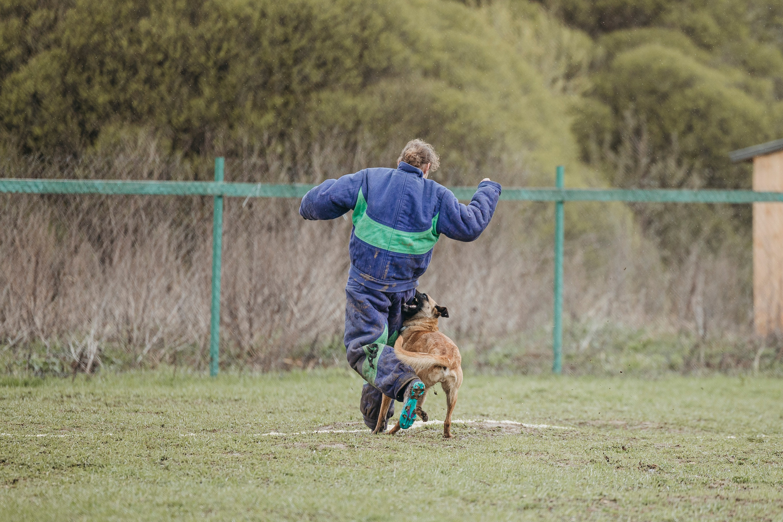 09.05.25 Вологда соревнования. Фотограф-анималист Анна Маринич