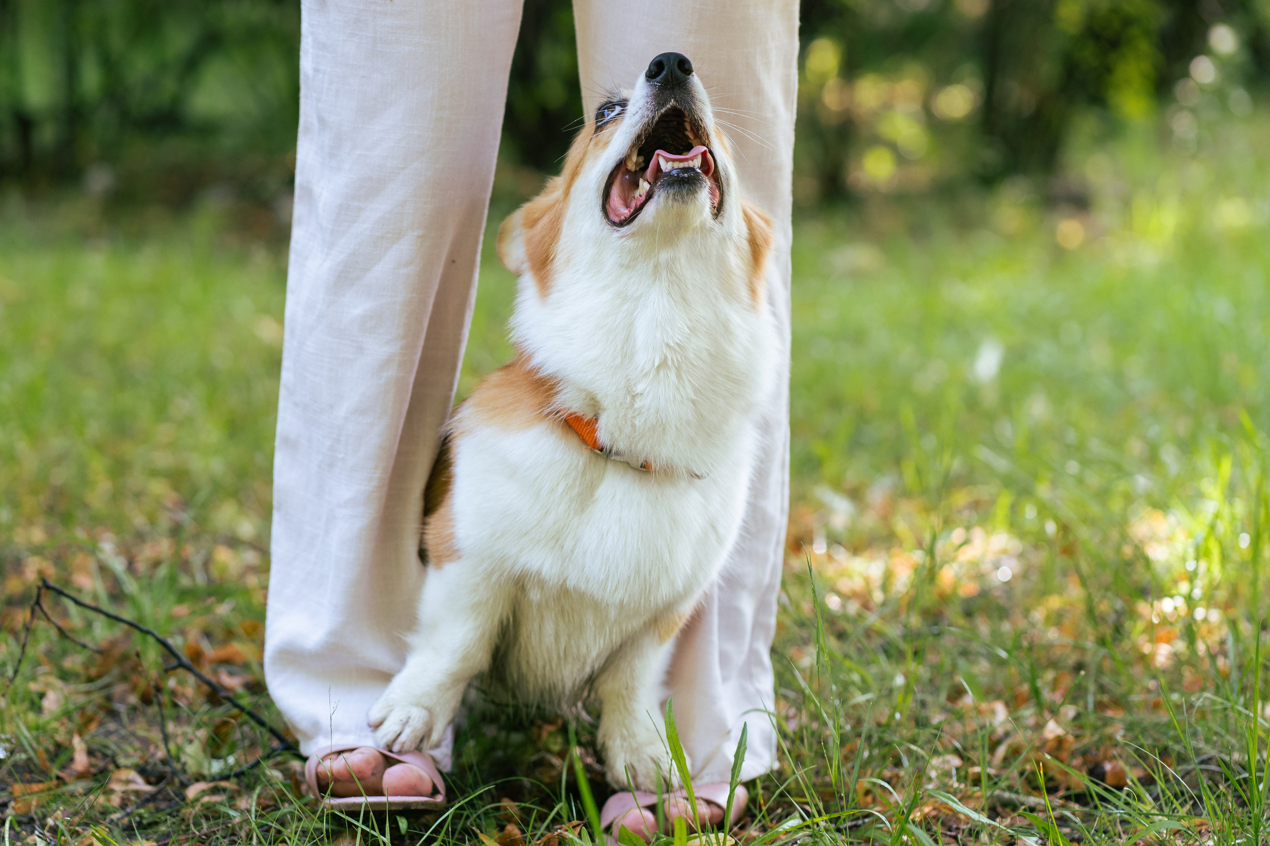 Ольга и коржики. Свадебный фотограф в Москве Анна Полушина