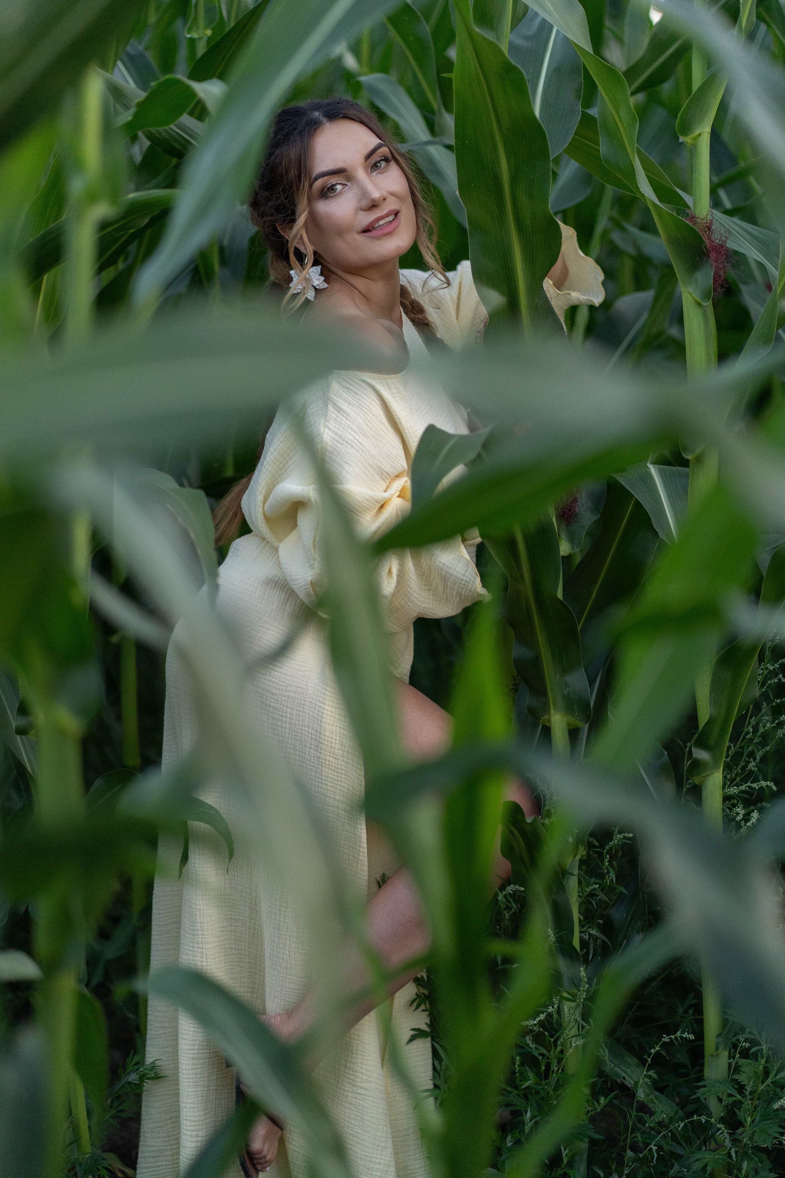 Кукурузное поле. Главная