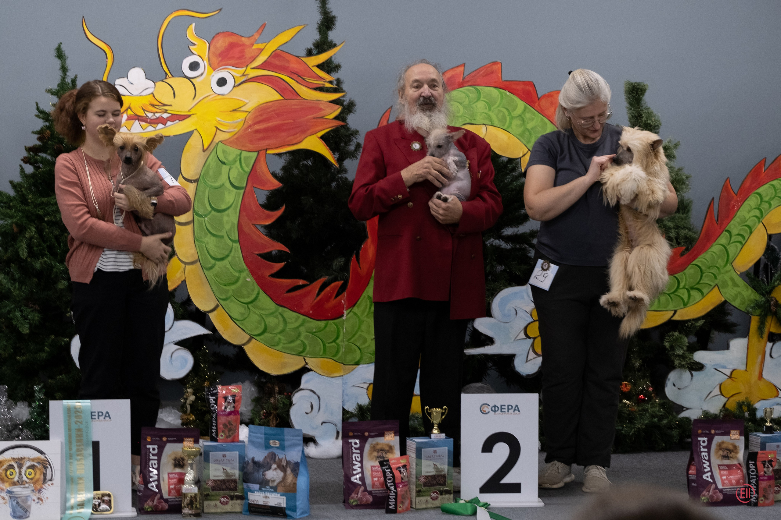 Праздник породы «Яркий мир китайских хохлатых собак». Питомник китайских хохлатых собак Poale Ell: купить щенка