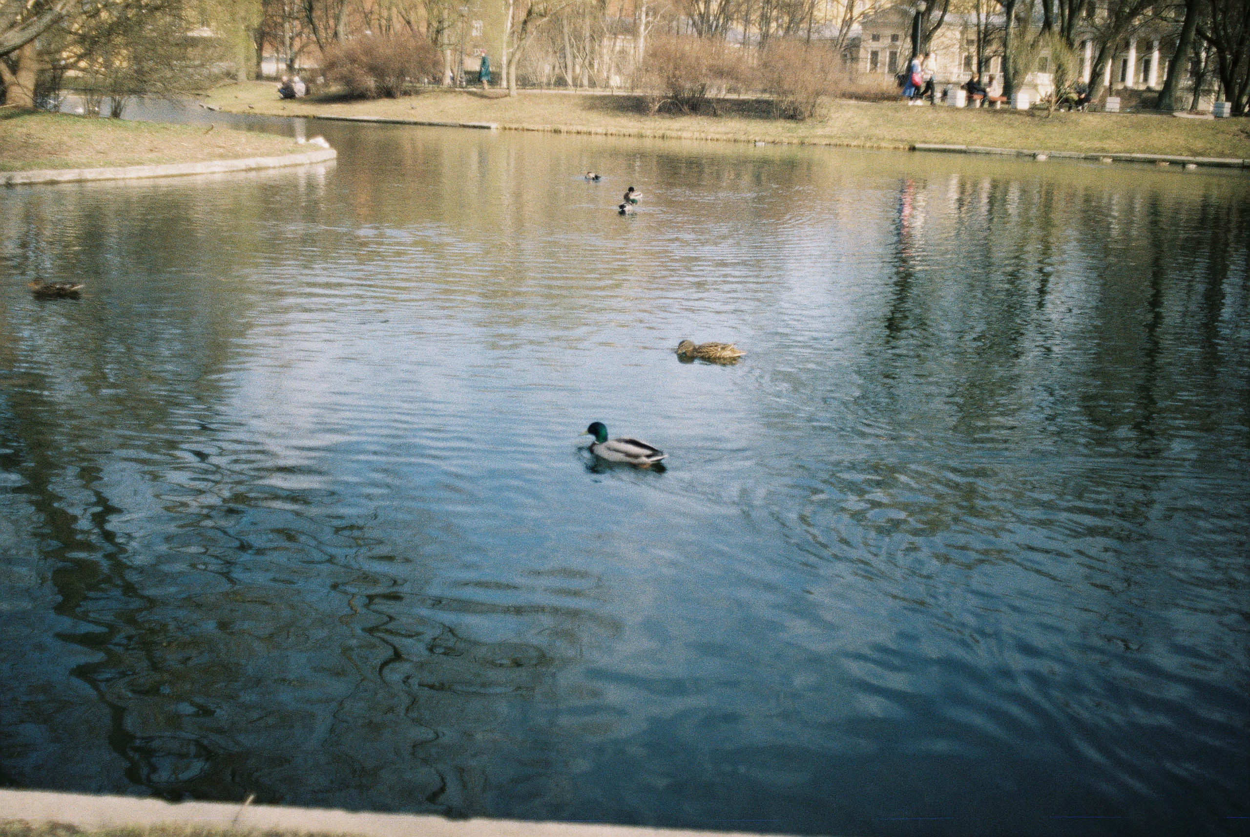 Санкт-Петербург (апрель 2023). Ph_lisa_muza