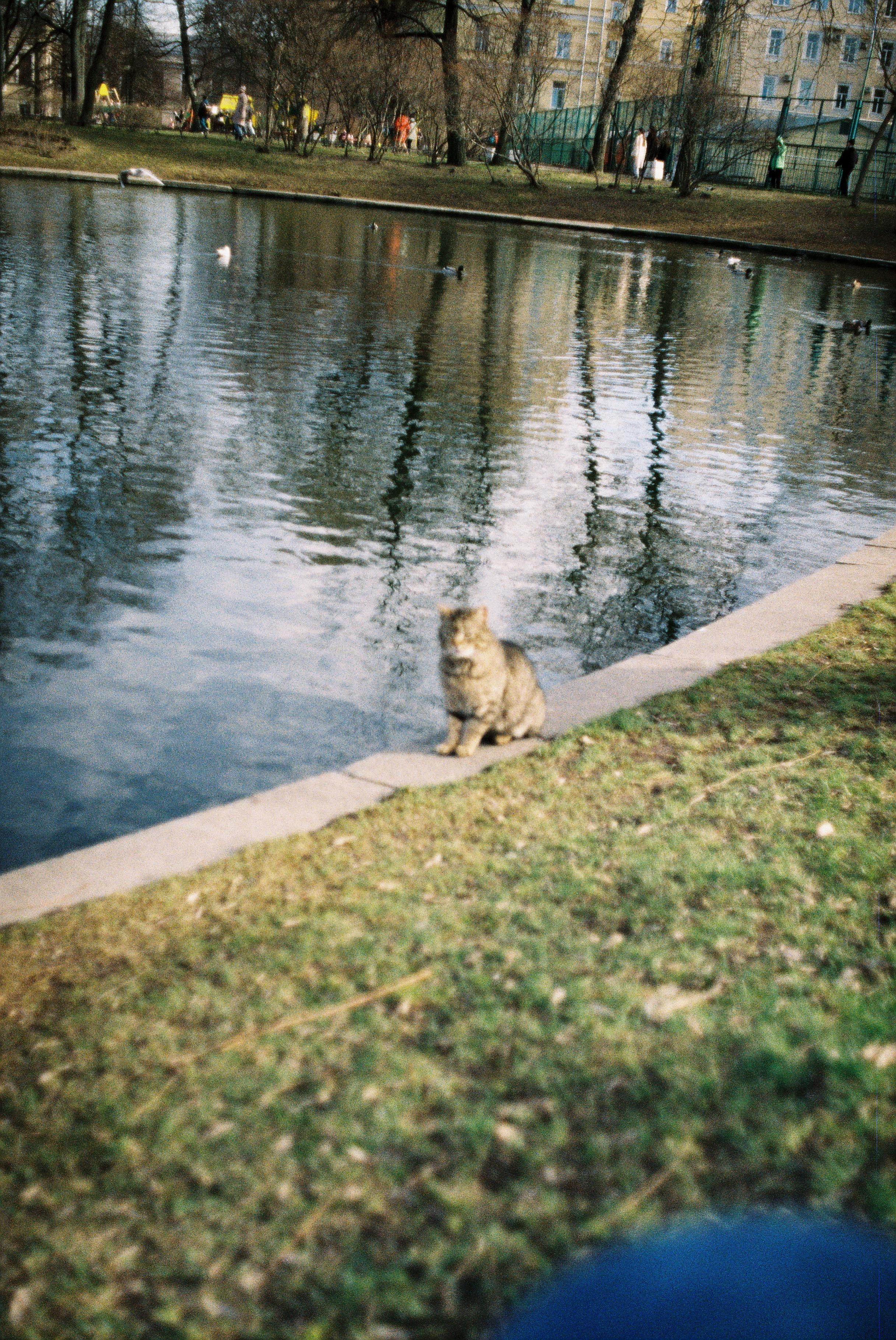 Санкт-Петербург (апрель 2023). Ph_lisa_muza