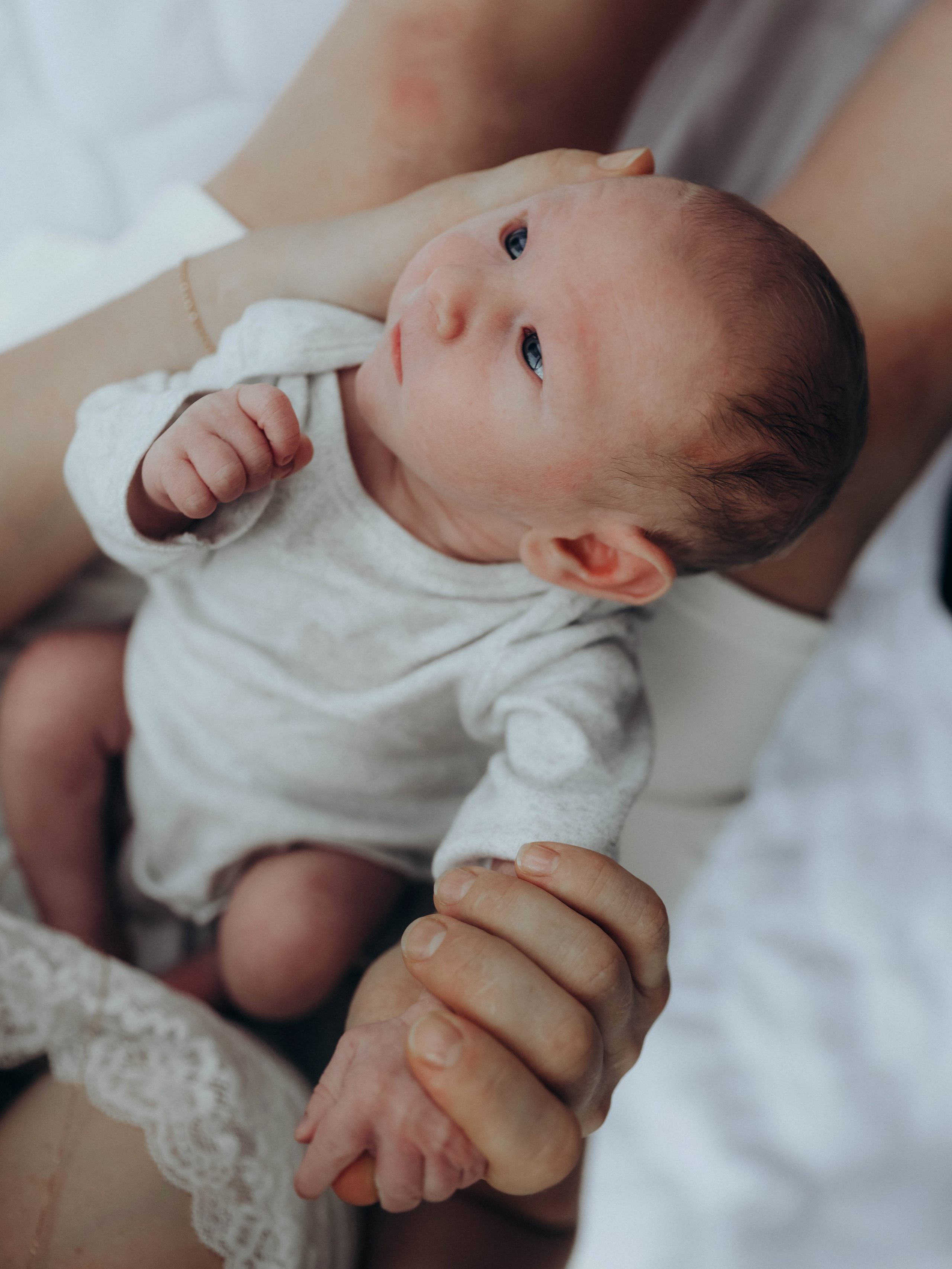 Любовь и котики. Мультифотограф Динара Ахмедзянова