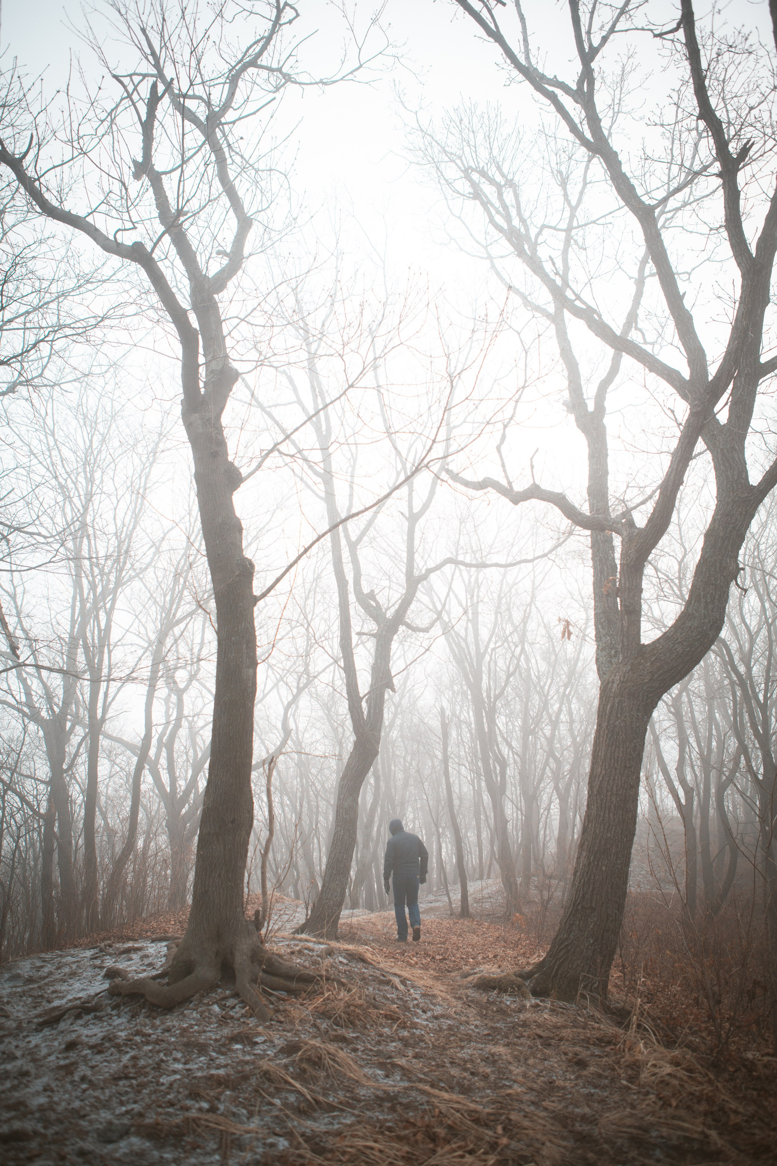 Фотограф Юлия Мадера