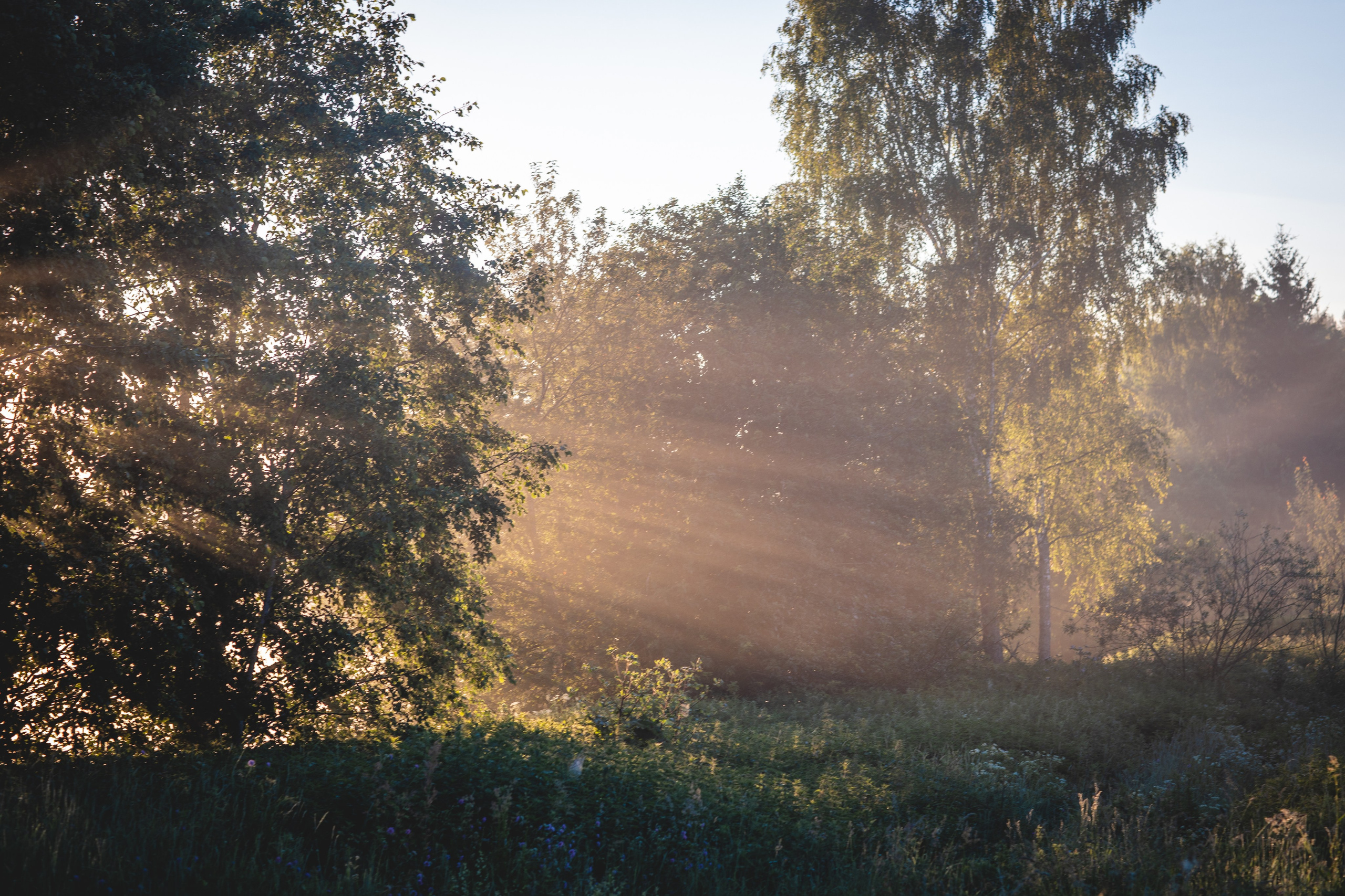 Фототуур «Край озёр» Лето. Семейный фотограф в Москве Анастасия Гурьянова