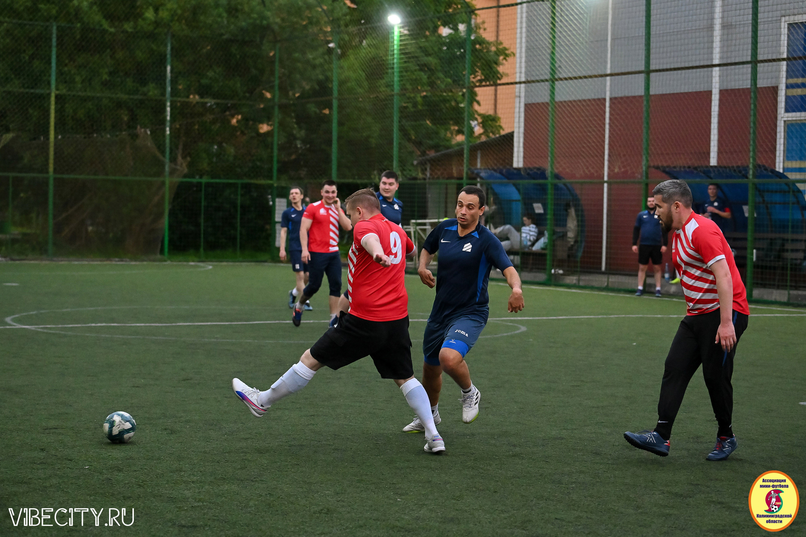 ИГРЫ МИНИ-ФУТБОЛЬНОЙ И КОРПОРАТИВНОЙ ЛИГИ. VIBECITY.RU Вайб Сити Ру Фоторепортажи Фотоотчеты Калининград