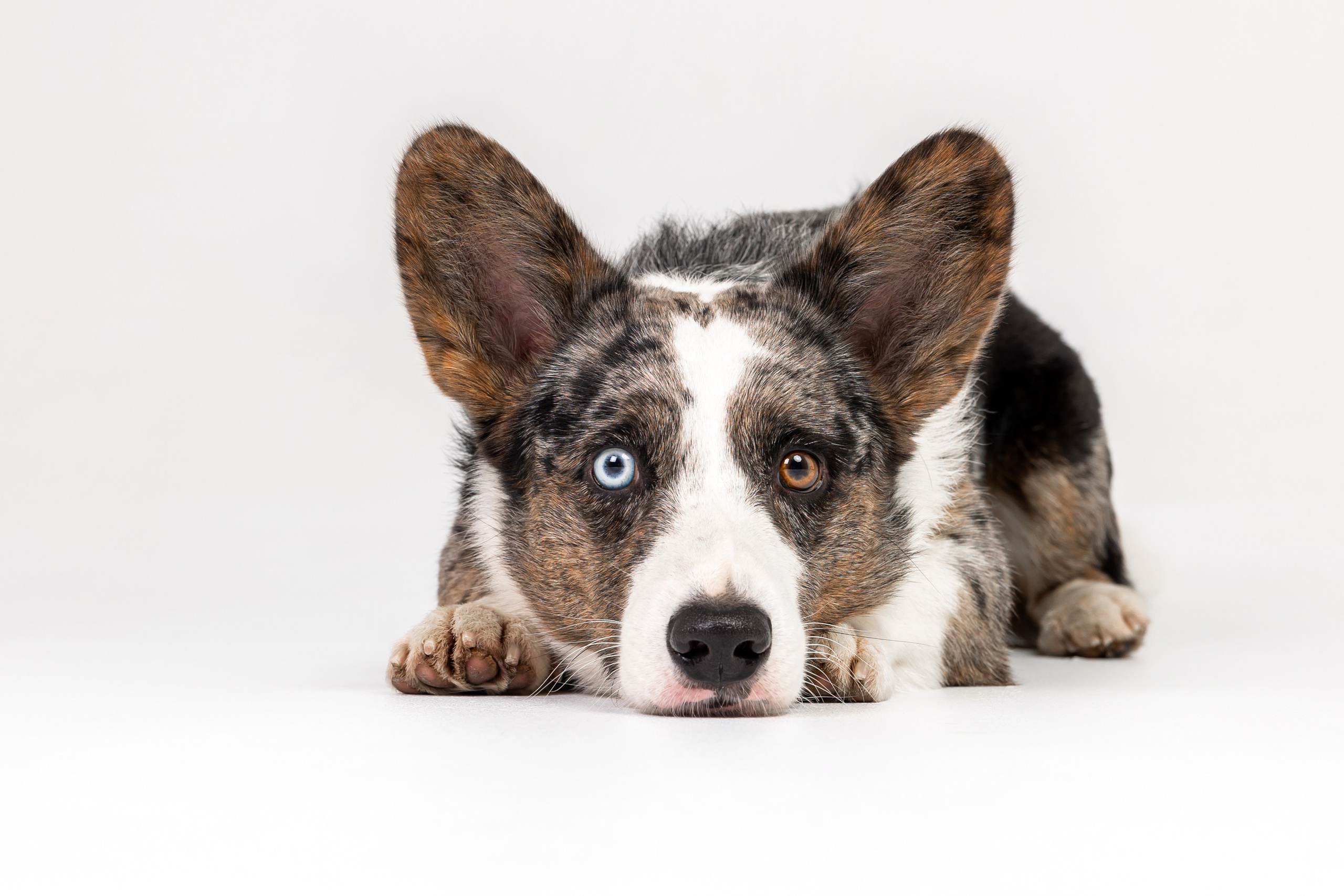 Анатолий и Рагнар