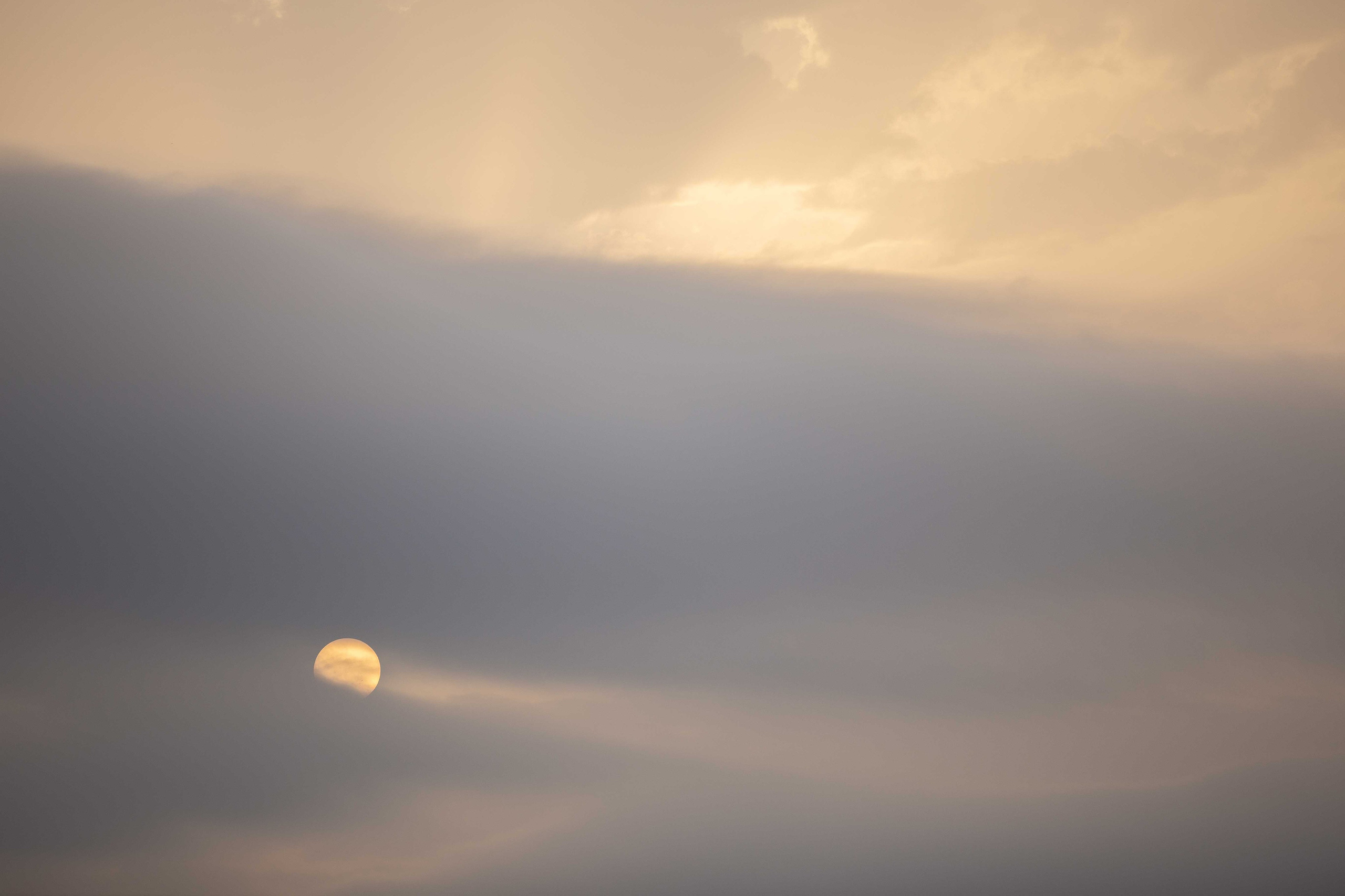 Anastasia Shapoval violoniste et photographe. Annecy — Geneve