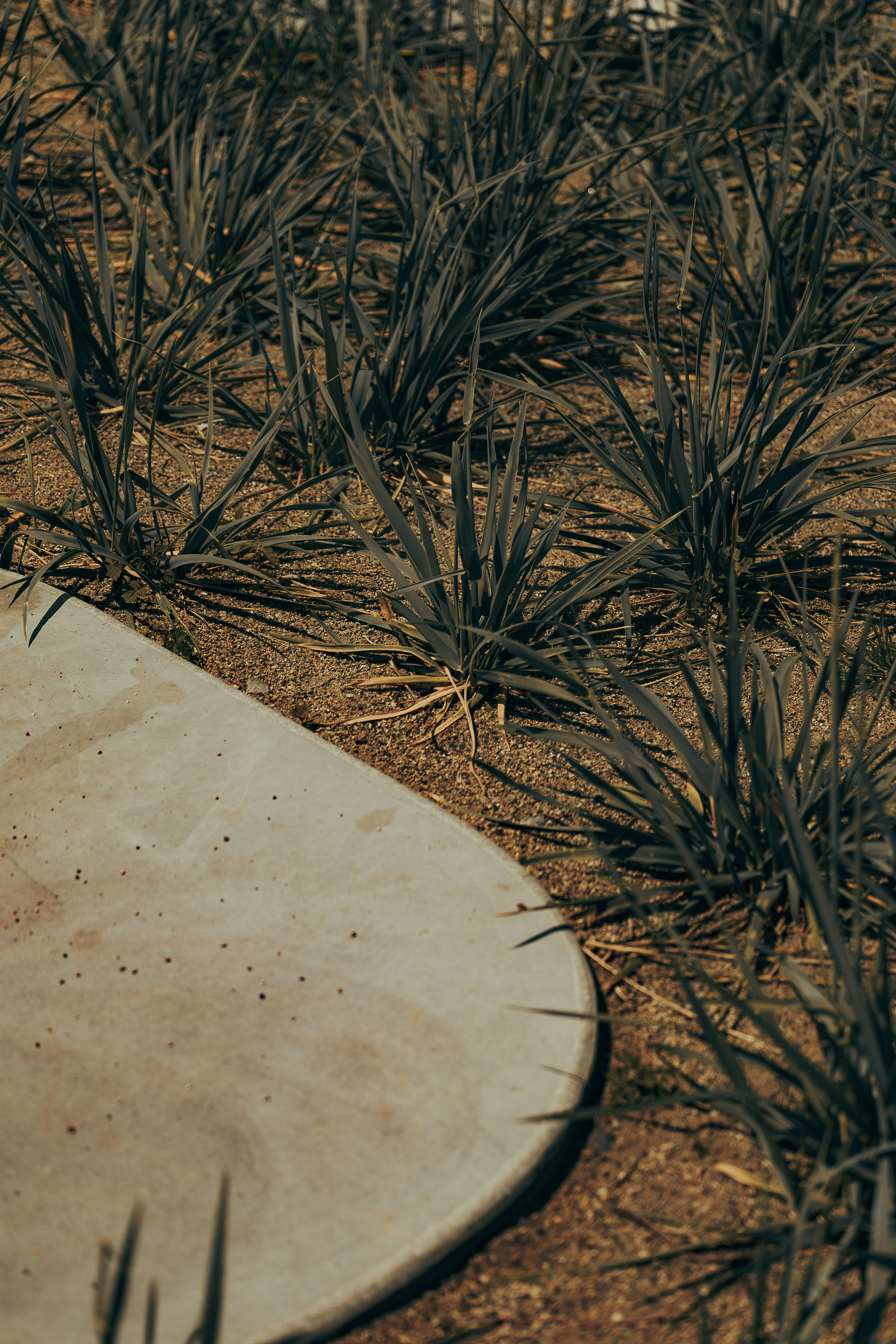 Стрит фотография Владивосток, Россия. Mood цвета, обработка, уроки, пресеты