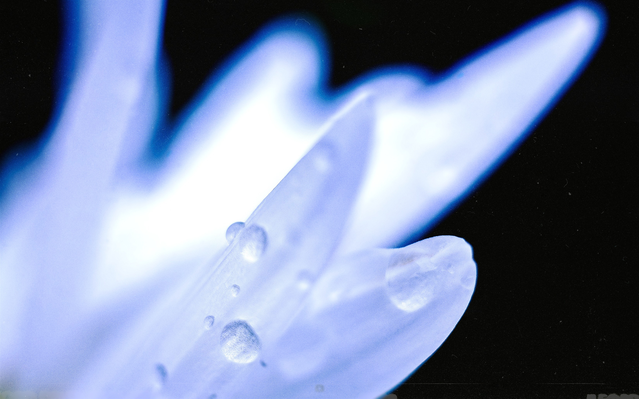 N a t u r e. Your photographer