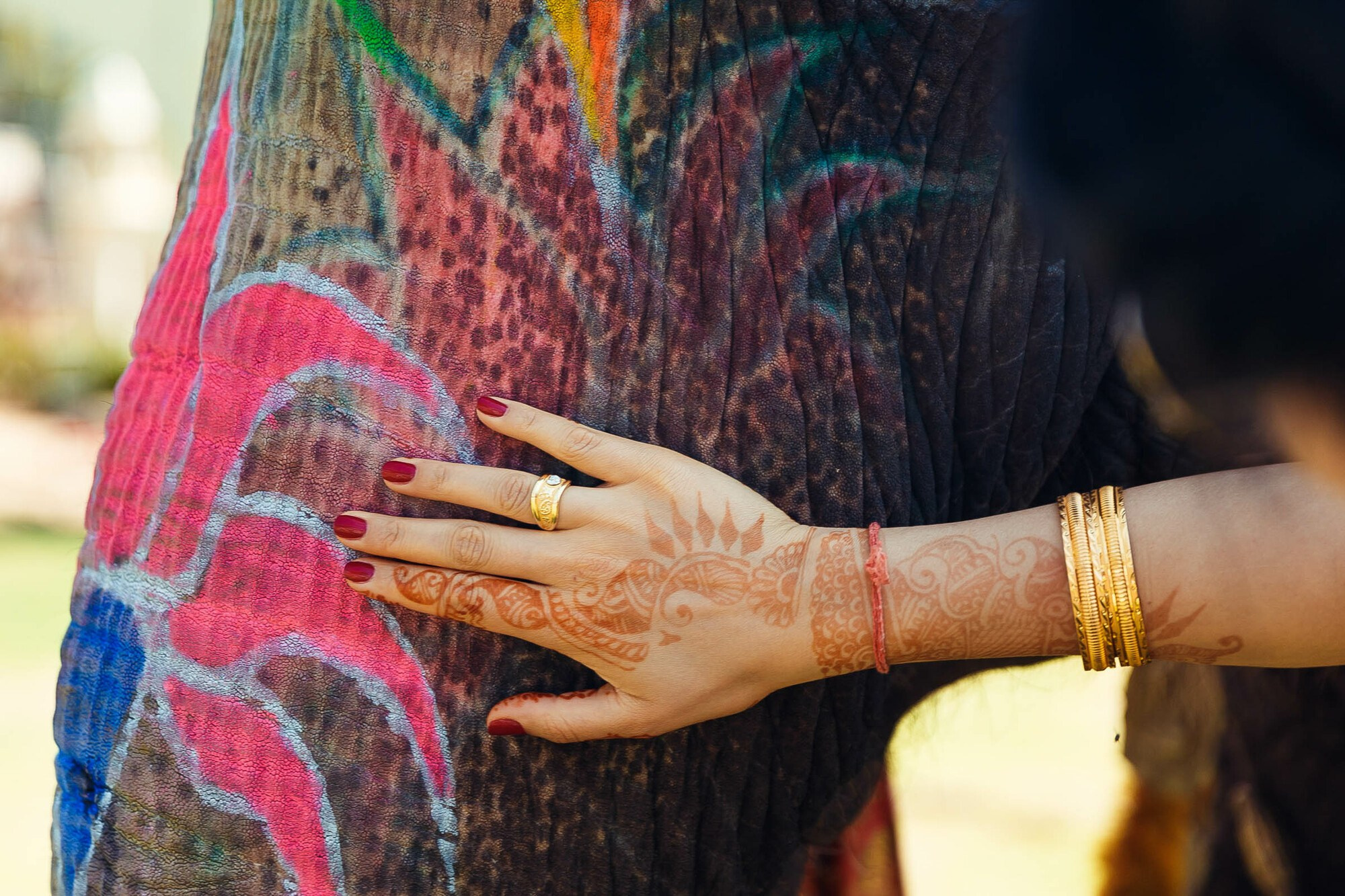 Свадьба в Индии, 1 и 2 день, свадебный репортаж. Свадебный фотограф в Санкт-Петербурге и Москве Андрей Нестеров