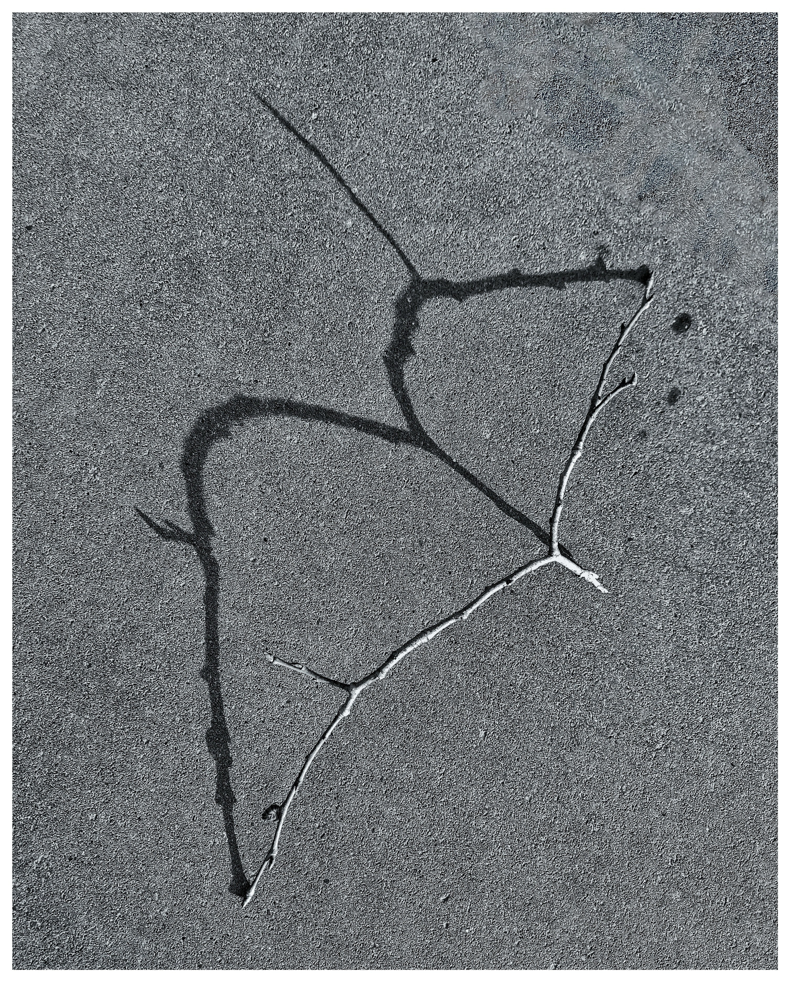 Мир повседневных Вещей. Репортажный и портретный фотограф, Влад Хафизов, Москва