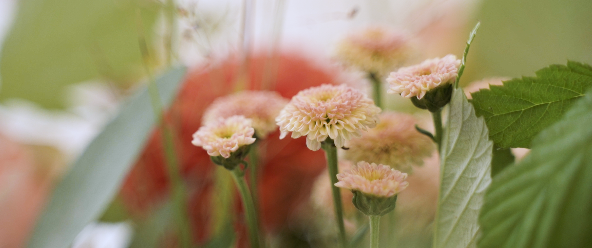 Лев и Татьяна, 2023. Фотограф и видеограф в Москве и Абу Даби Мария Кулагина