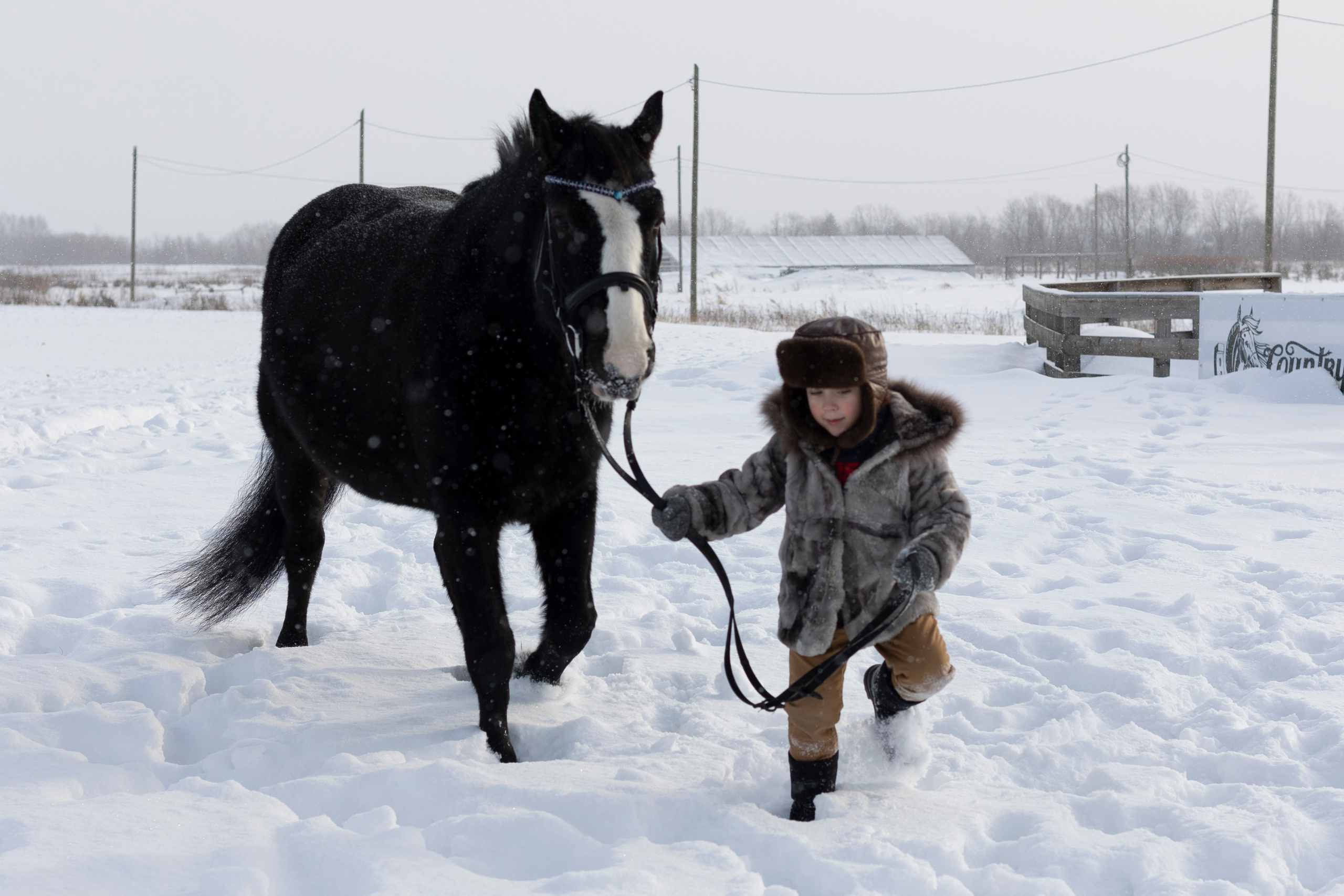 Съёмка с животными. Детский и семейный фотограф Северодвинск Архангельск Дашинка Слонова