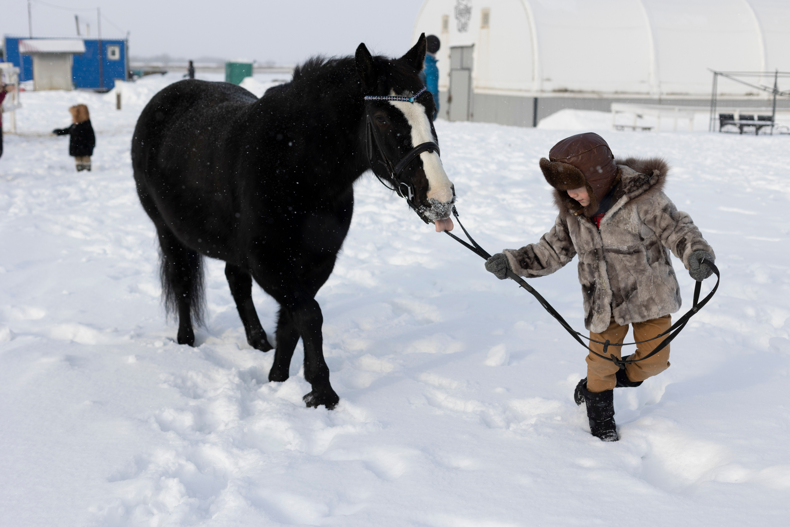 Съёмка с животными. Детский и семейный фотограф Северодвинск Архангельск Дашинка Слонова