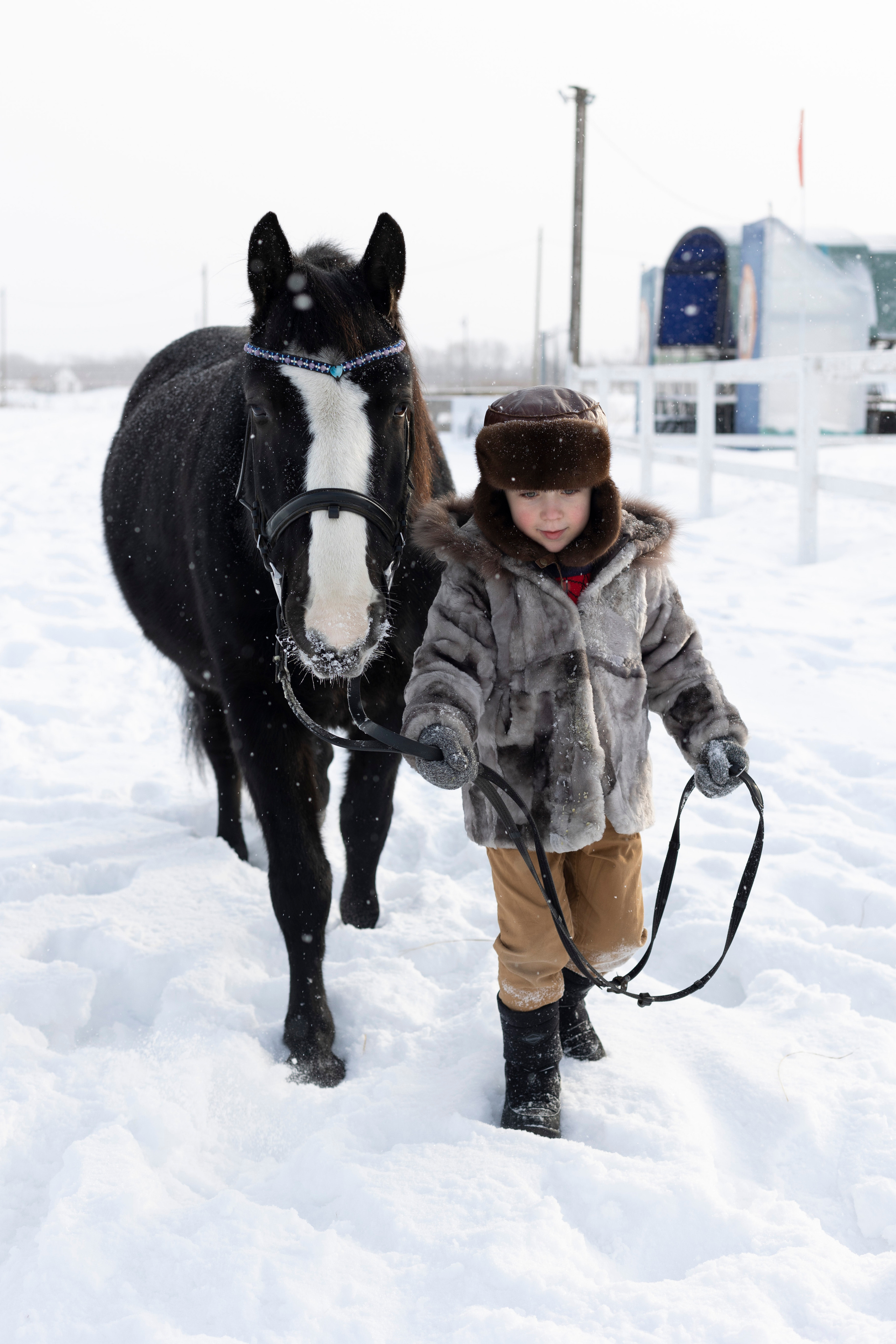 Съёмка с животными. Детский и семейный фотограф Северодвинск Архангельск Дашинка Слонова