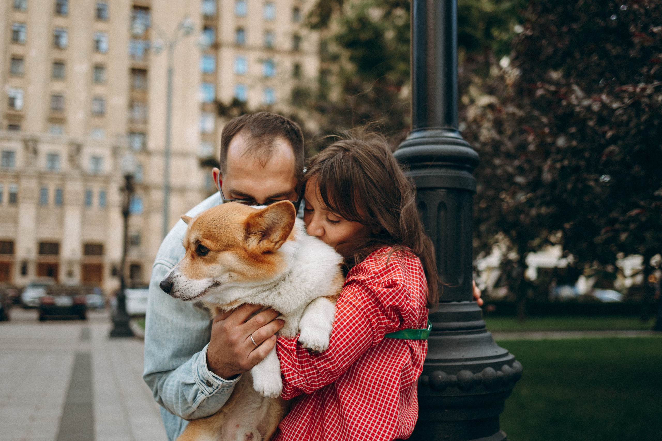Момо, Люда и Эд. Фотограф анималист Анастасия Пикей