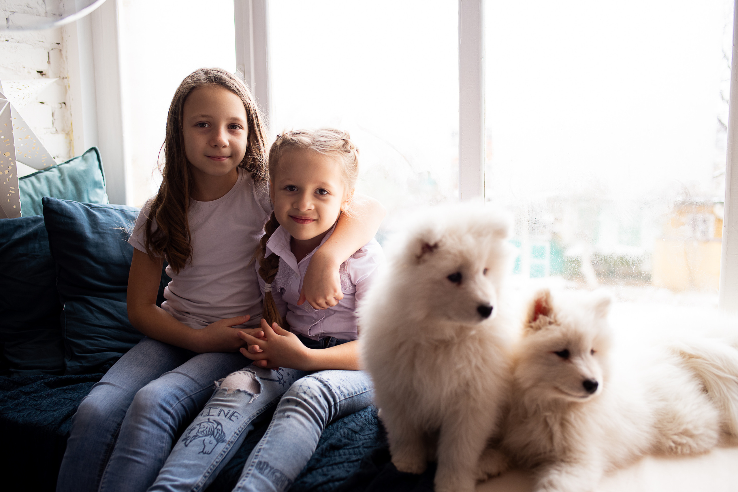 Дети и самоеды. Видеосьемка, фотосьемка свадеб, юбилеев, утренников в Краснодарском кр