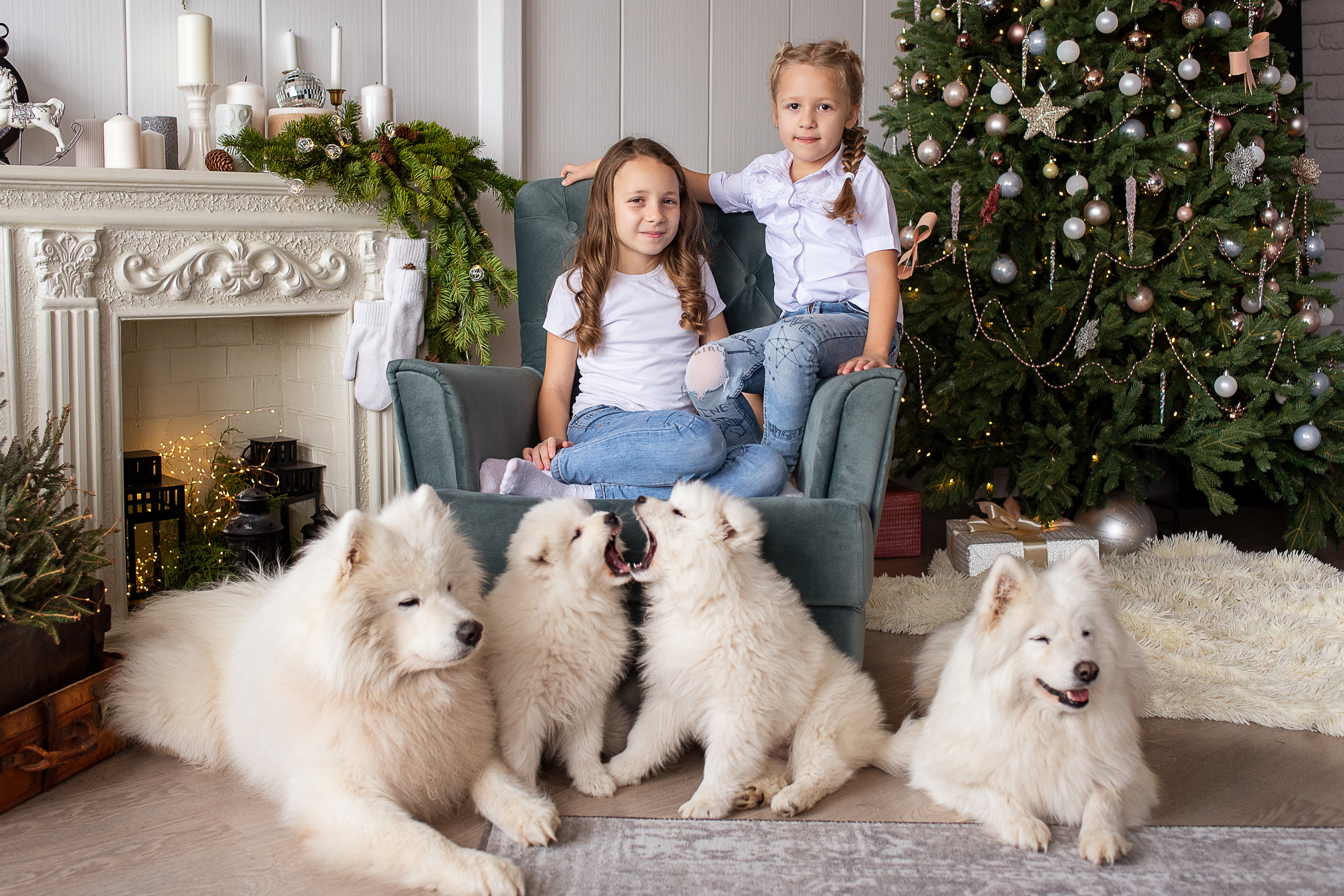 Дети и самоеды. Видеосьемка, фотосьемка свадеб, юбилеев, утренников в Краснодарском кр
